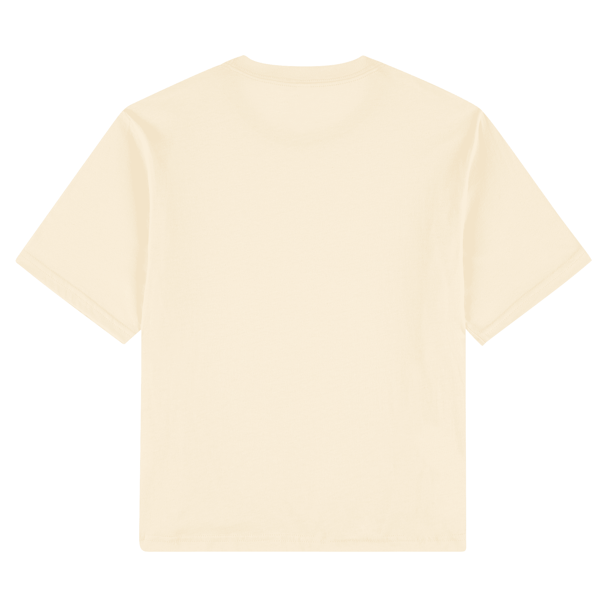 102 American Apparel Women's Fine Jersey Boxy T-Shirt
