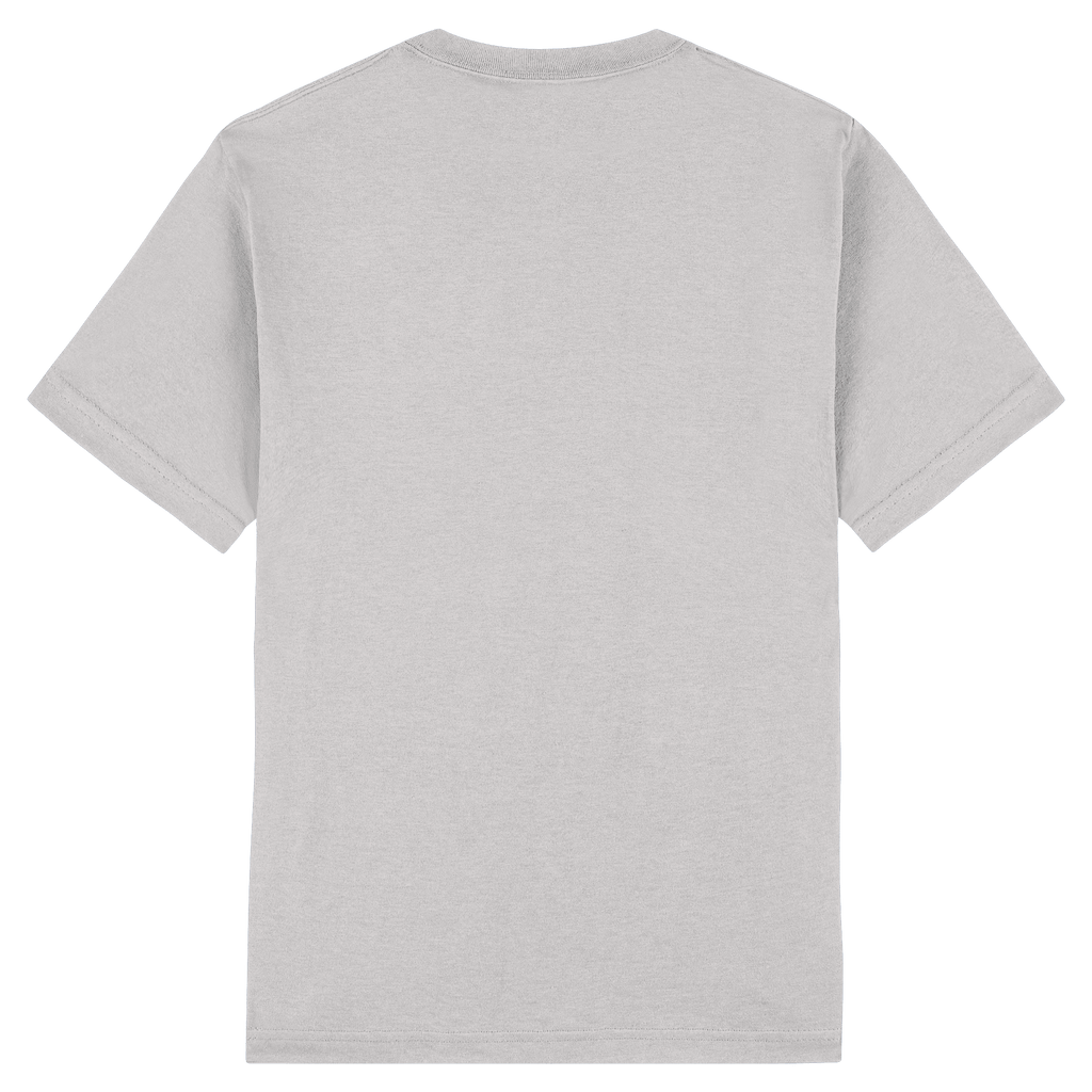 1301 American Apparel Heavyweight Cotton Unisex T-Shirt