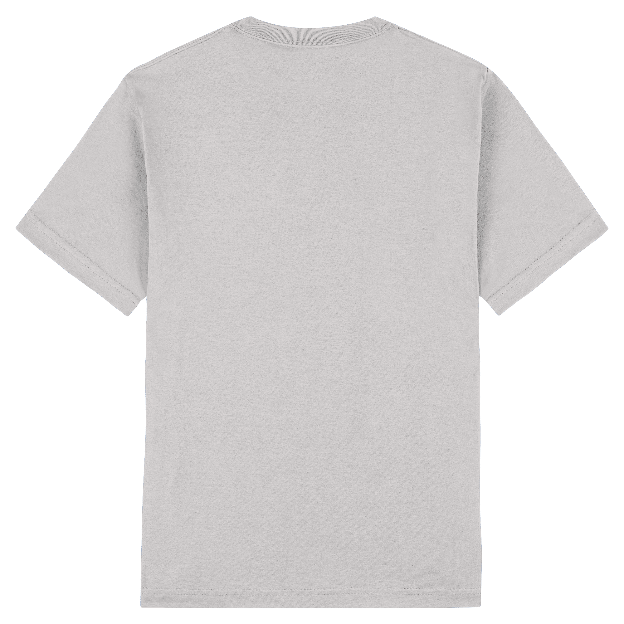 1301 American Apparel Heavyweight Cotton Unisex T-Shirt