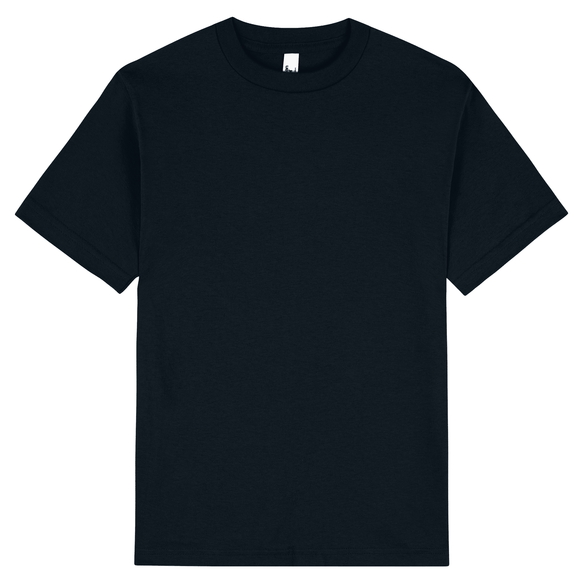 1301 American Apparel Heavyweight Cotton Unisex T-Shirt