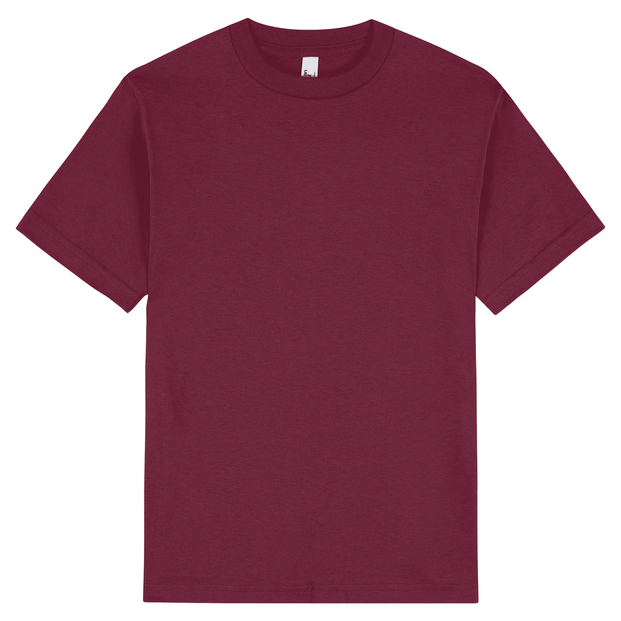 1301 American Apparel Heavyweight Cotton Unisex T-Shirt