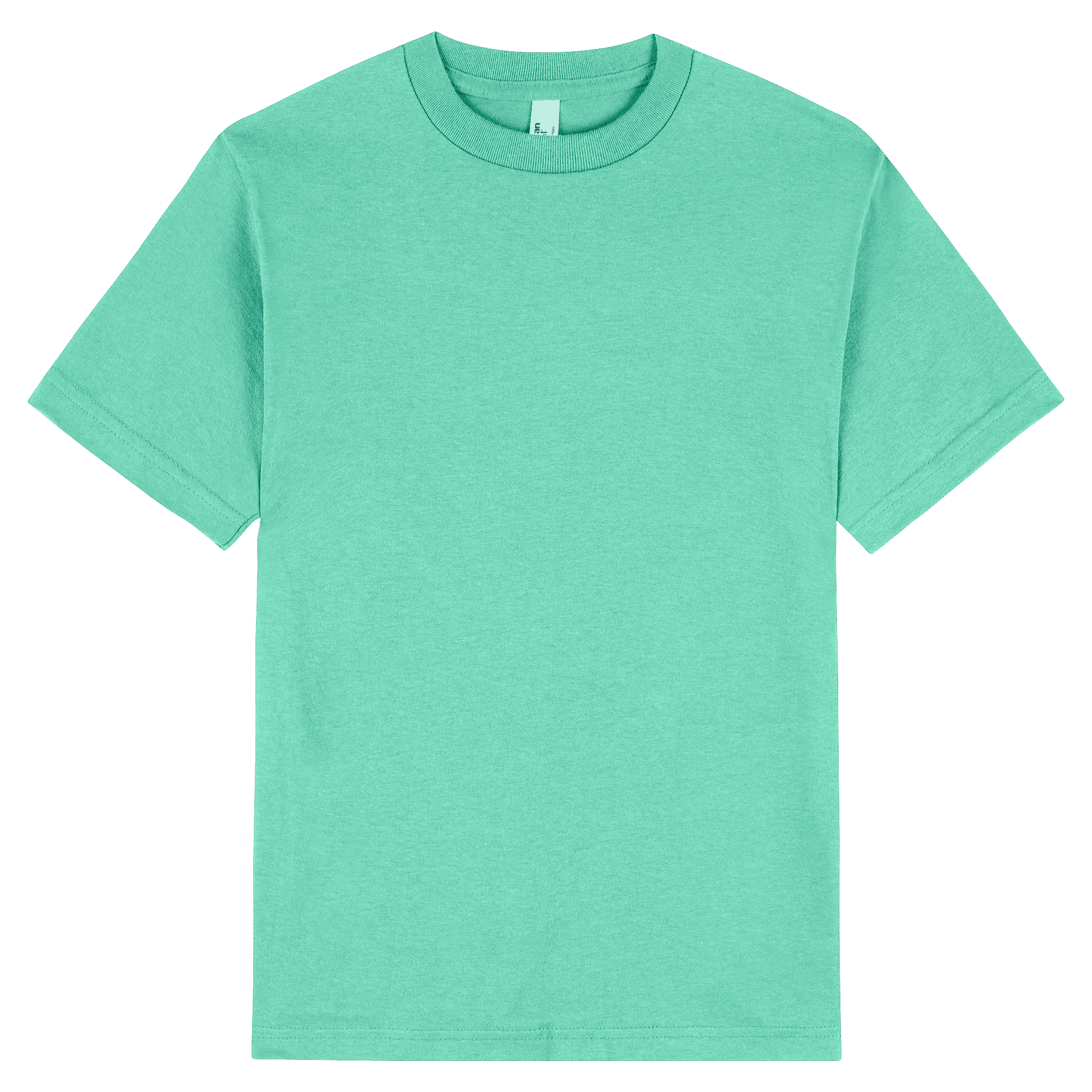 1301 American Apparel Heavyweight Cotton Unisex T-Shirt