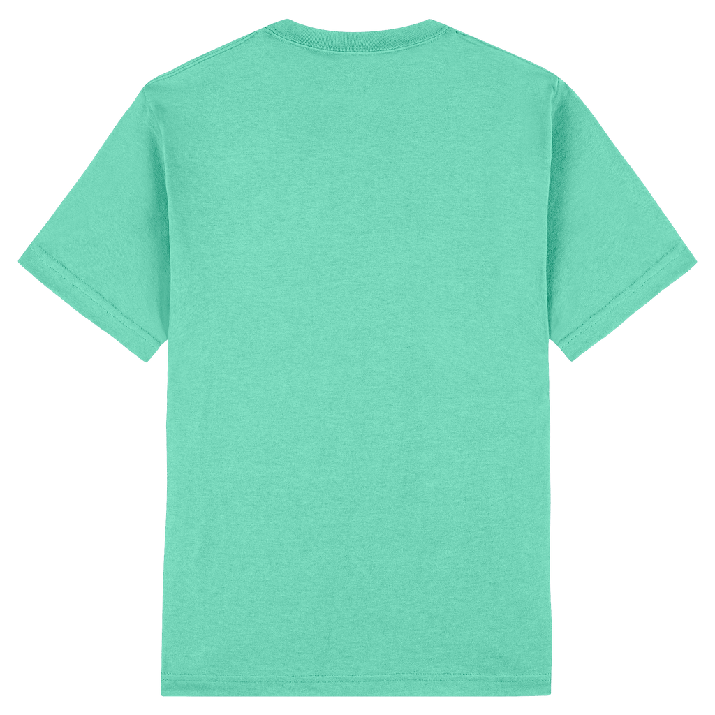 1301 American Apparel Heavyweight Cotton Unisex T-Shirt