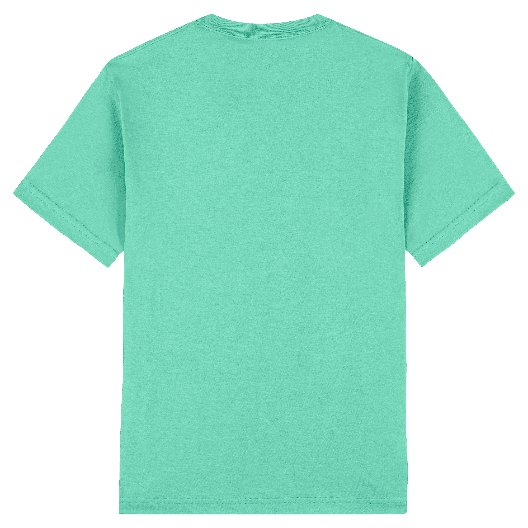 1301 American Apparel Heavyweight Cotton Unisex T-Shirt
