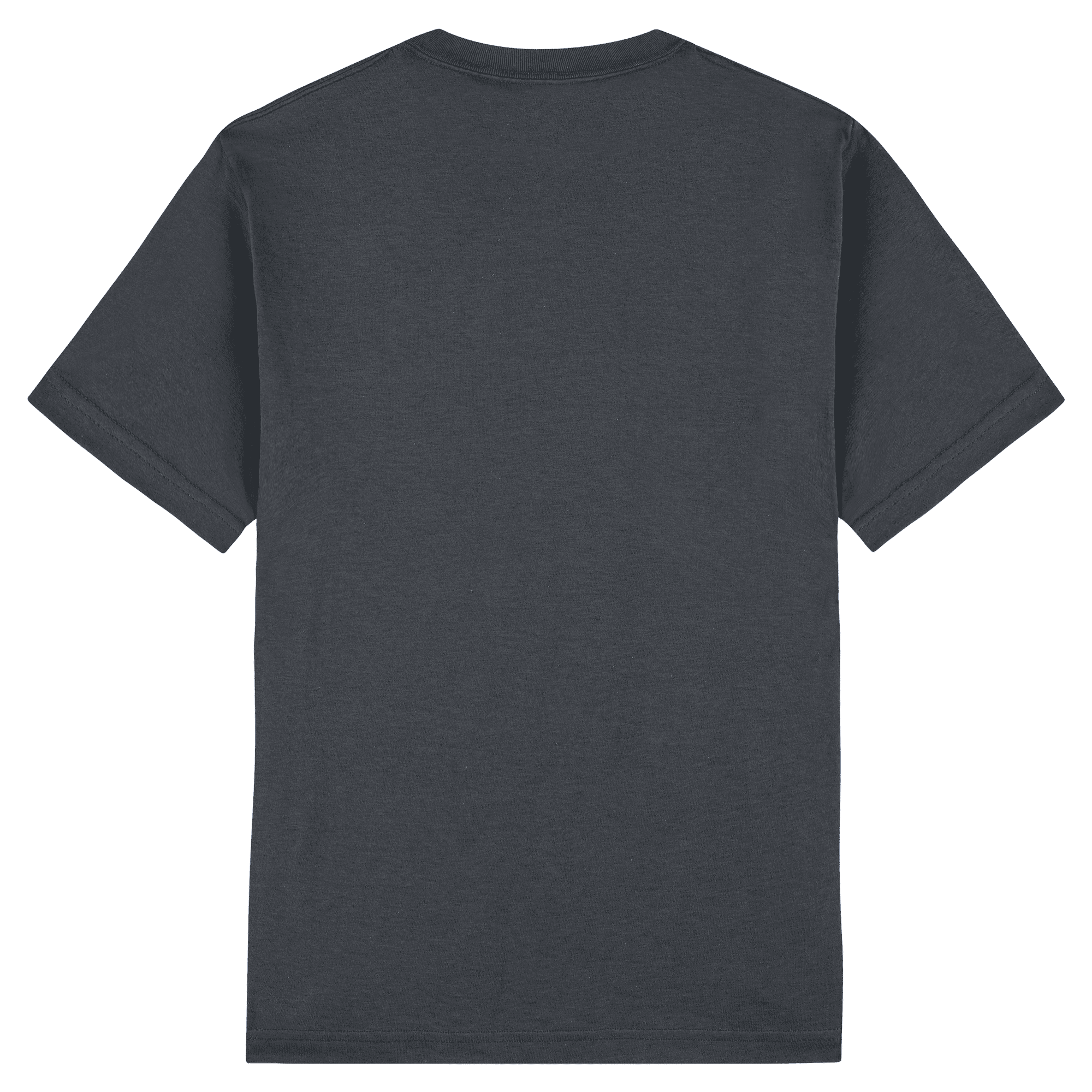 1301 American Apparel Heavyweight Cotton Unisex T-Shirt