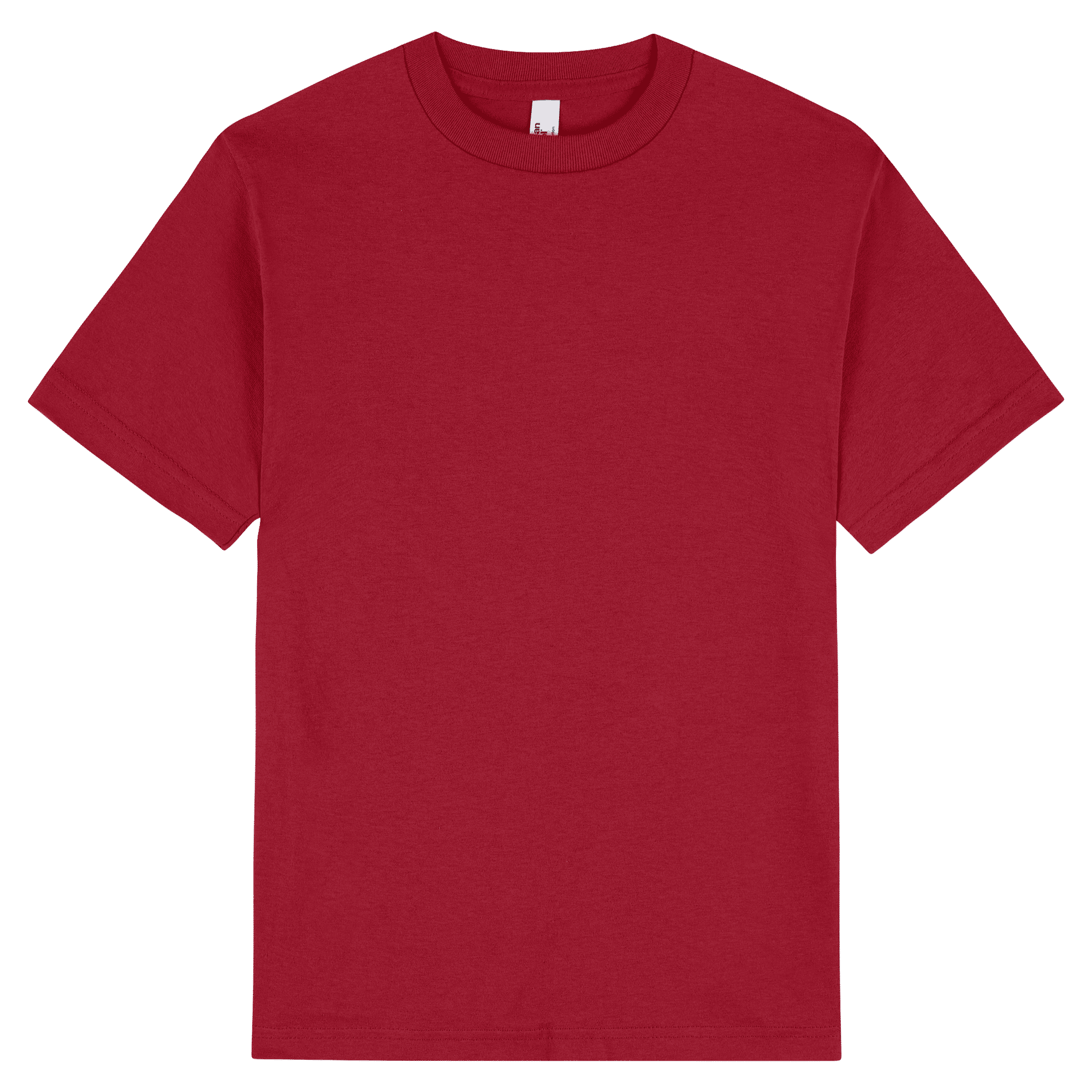 1301 American Apparel Heavyweight Cotton Unisex T-Shirt