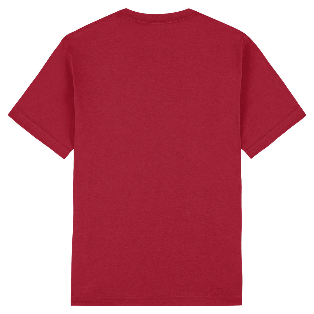1301 American Apparel Heavyweight Cotton Unisex T-Shirt