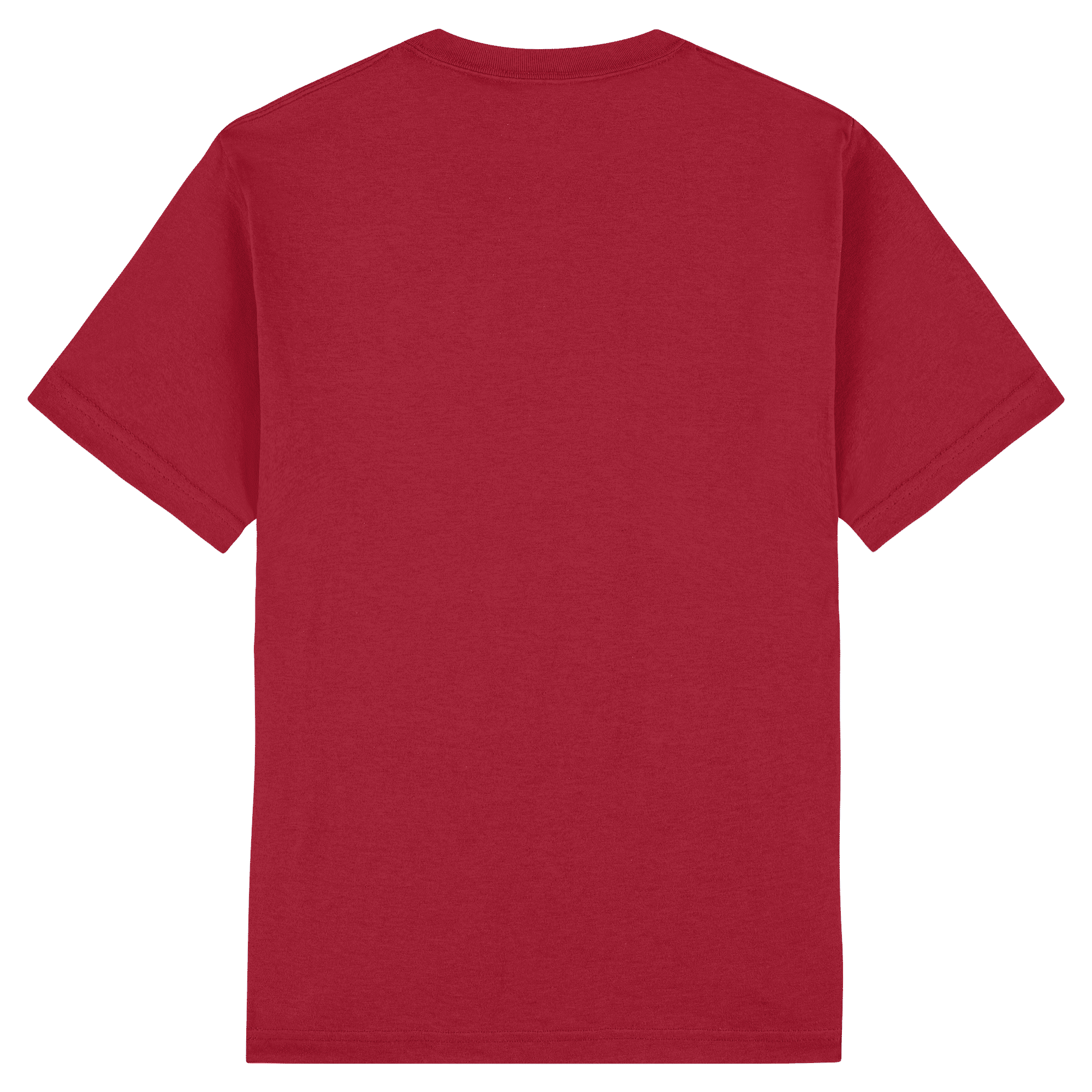 1301 American Apparel Heavyweight Cotton Unisex T-Shirt