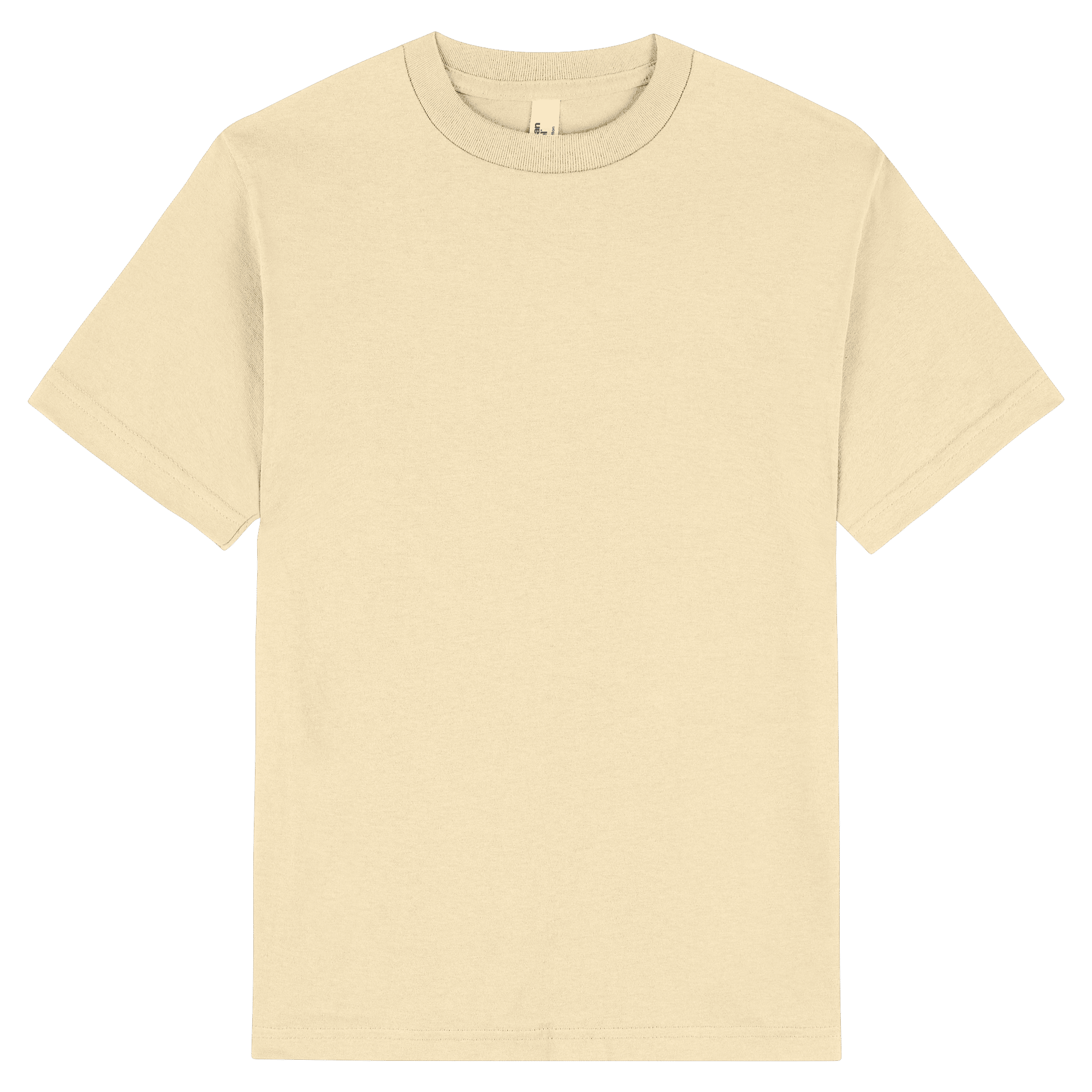 1301 American Apparel Heavyweight Cotton Unisex T-Shirt