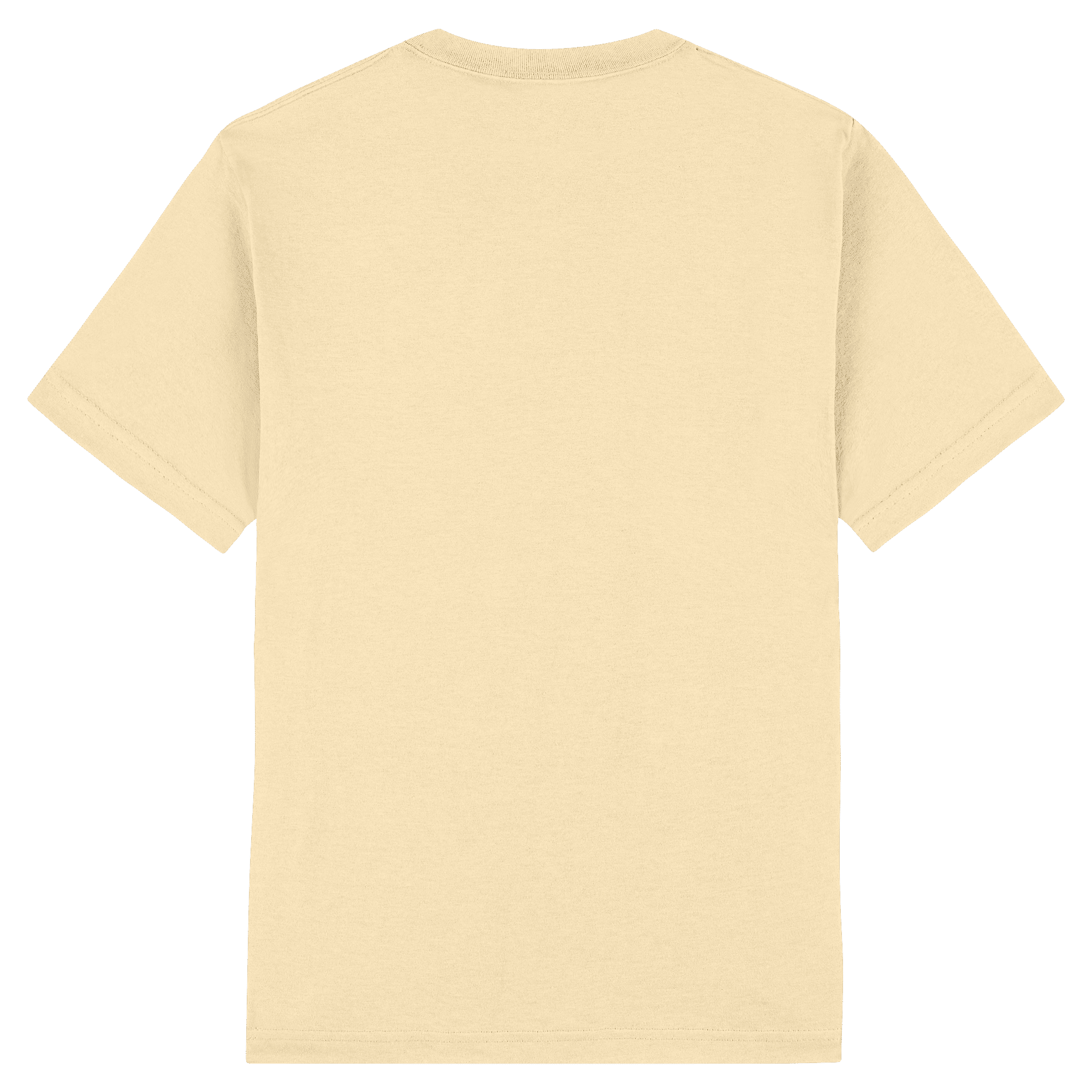 1301 American Apparel Heavyweight Cotton Unisex T-Shirt