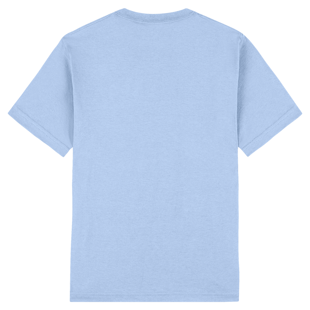 1301 American Apparel Heavyweight Cotton Unisex T-Shirt