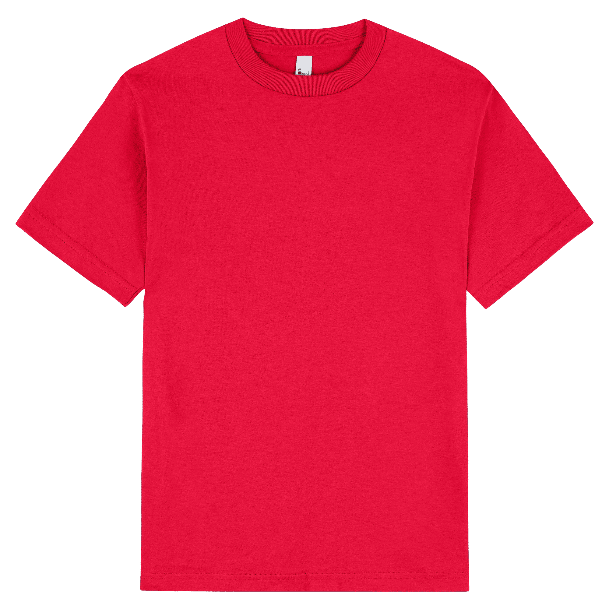 1301 American Apparel Heavyweight Cotton Unisex T-Shirt