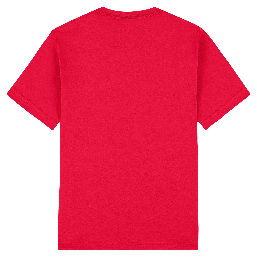 1301 American Apparel Heavyweight Cotton Unisex T-Shirt