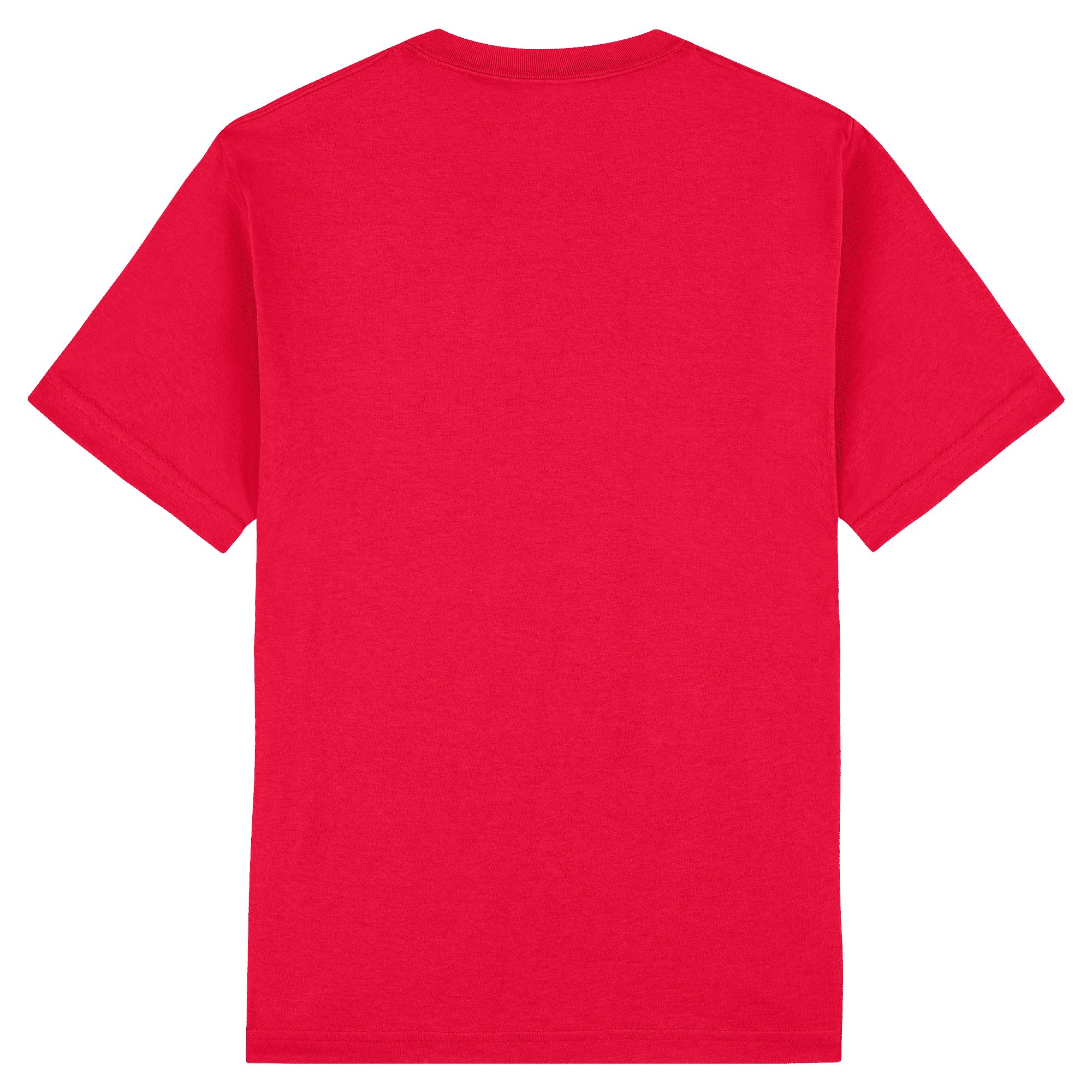 1301 American Apparel Heavyweight Cotton Unisex T-Shirt