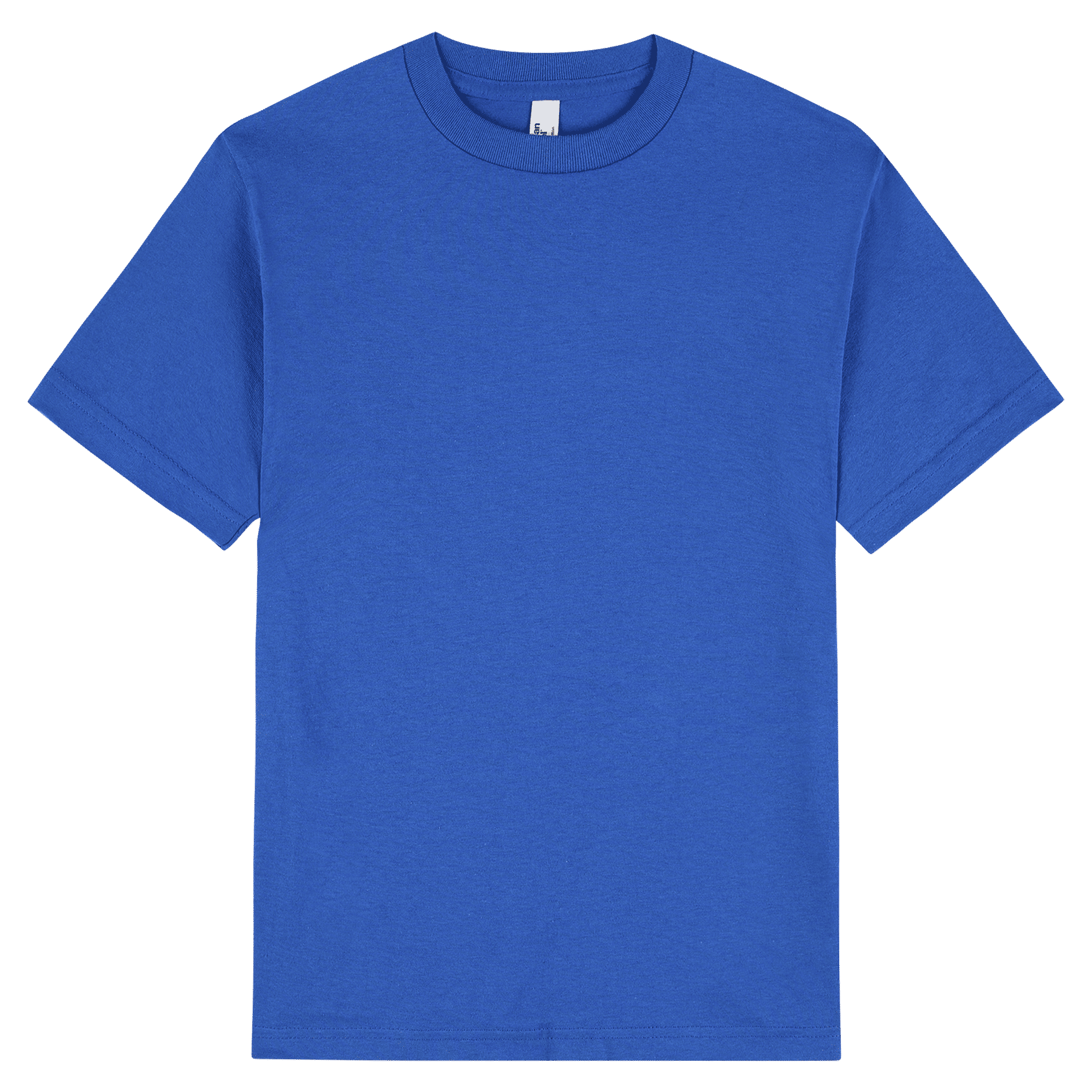 1301 American Apparel Heavyweight Cotton Unisex T-Shirt