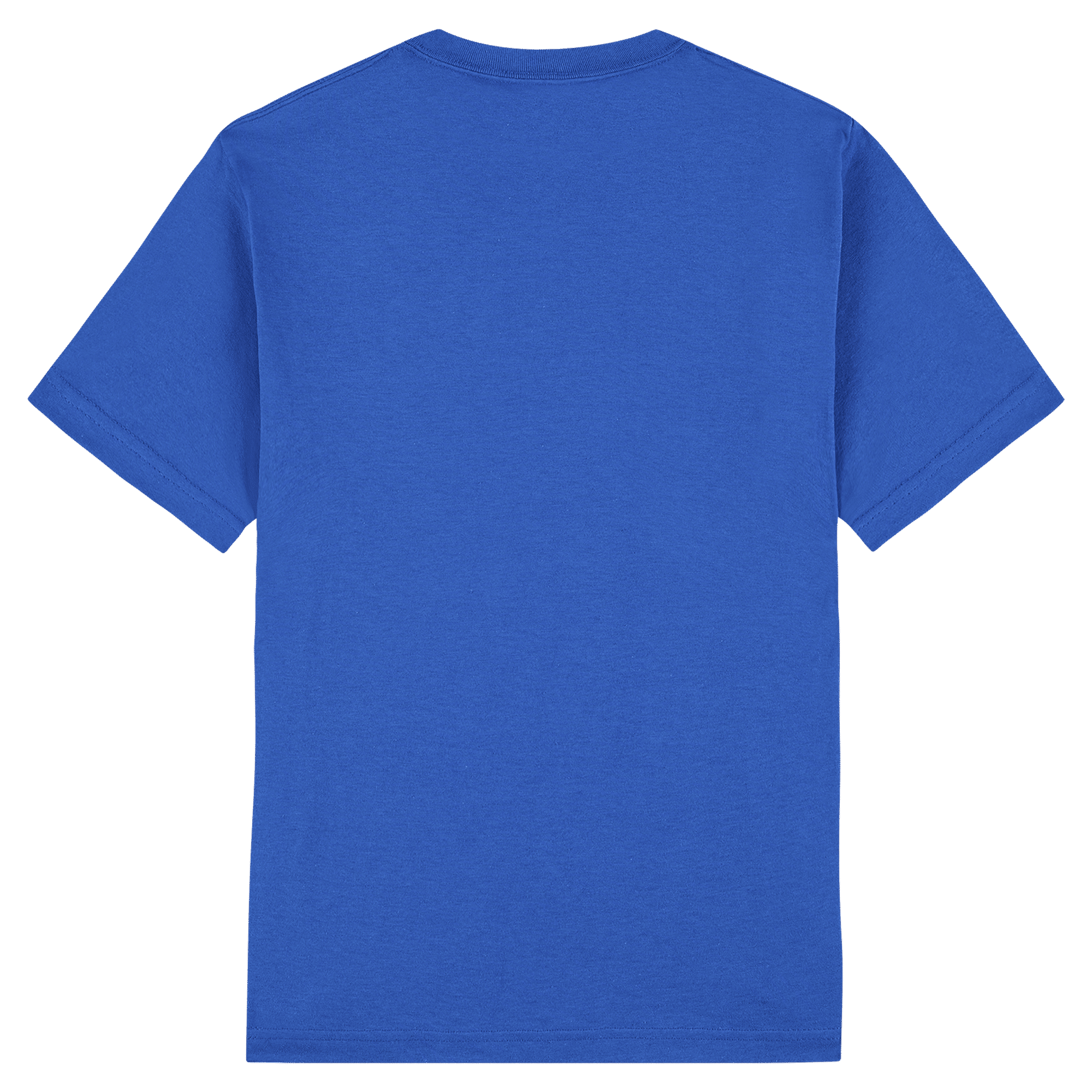 1301 American Apparel Heavyweight Cotton Unisex T-Shirt