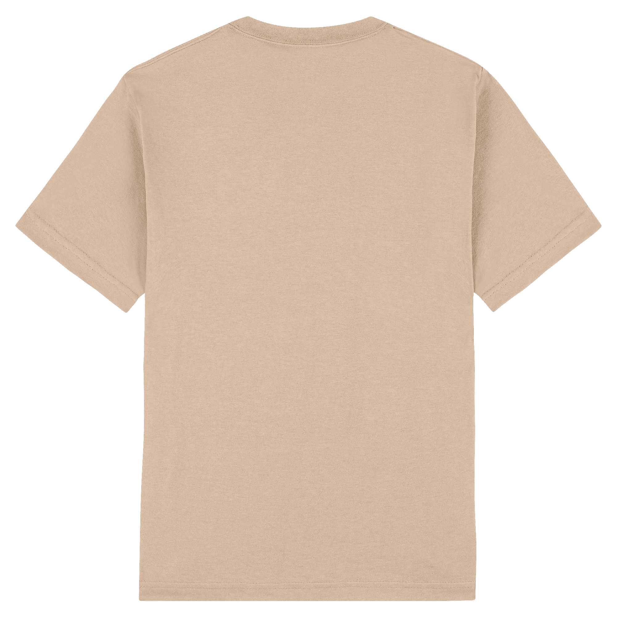 1301 American Apparel Heavyweight Cotton Unisex T-Shirt