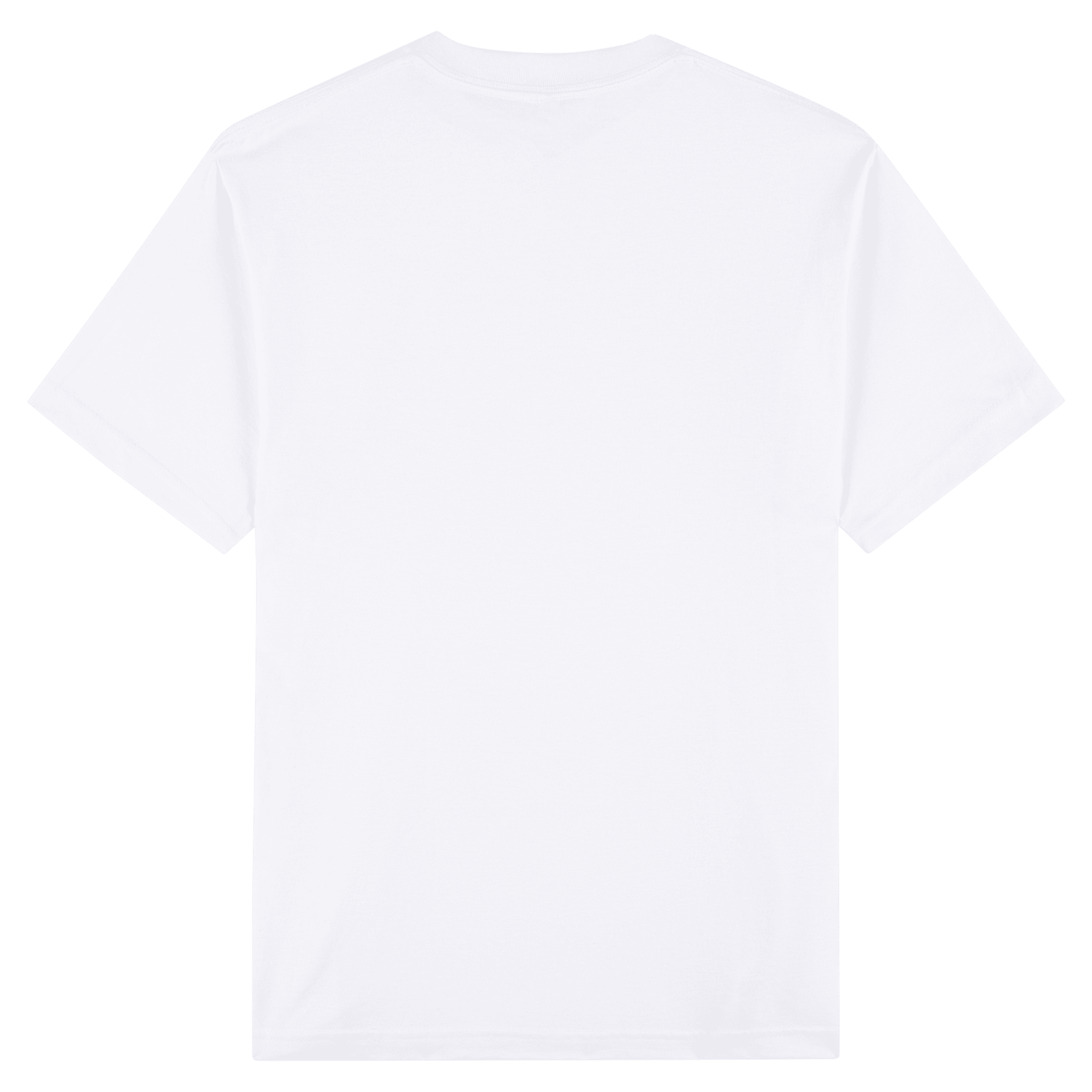 1301 American Apparel Heavyweight Cotton Unisex T-Shirt