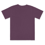1717 Comfort Colors Adult Heavyweight T-Shirt