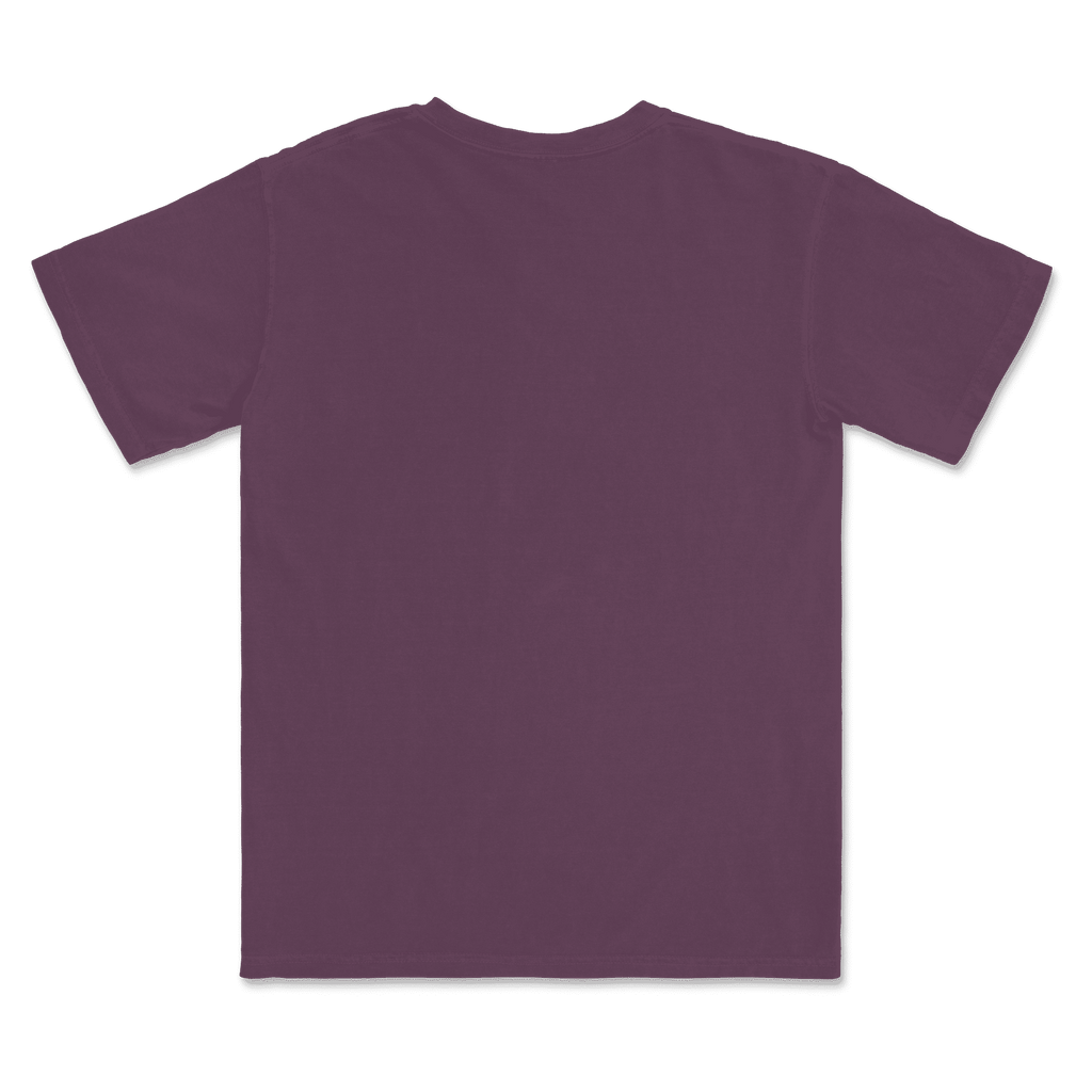 1717 Comfort Colors Adult Heavyweight T-Shirt