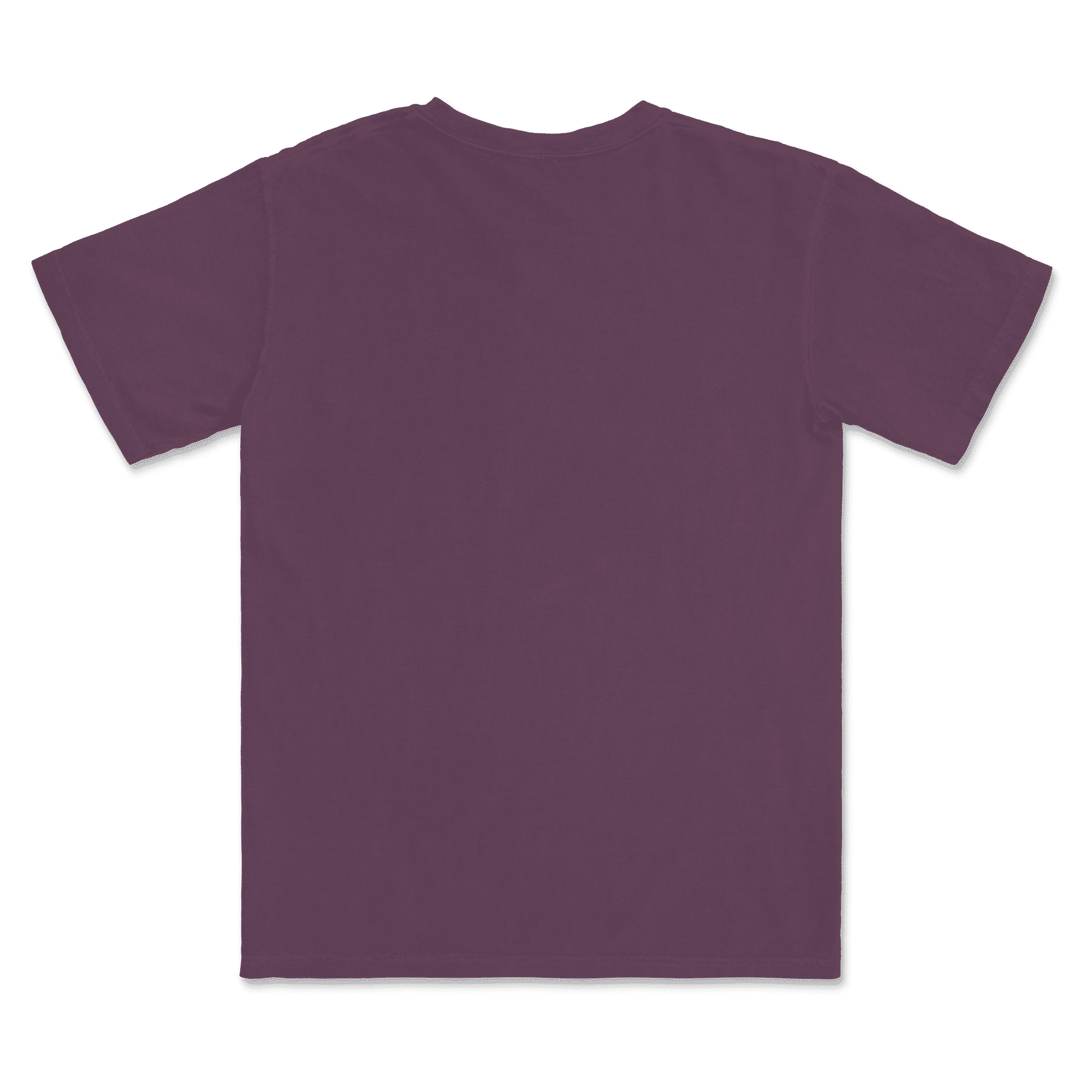 1717 Comfort Colors Adult Heavyweight T-Shirt