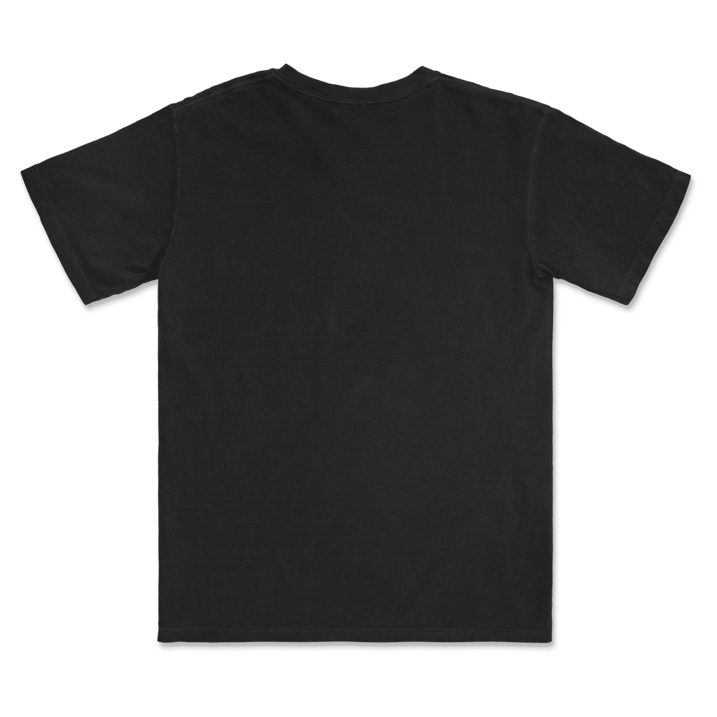 1717 Comfort Colors Adult Heavyweight T-Shirt