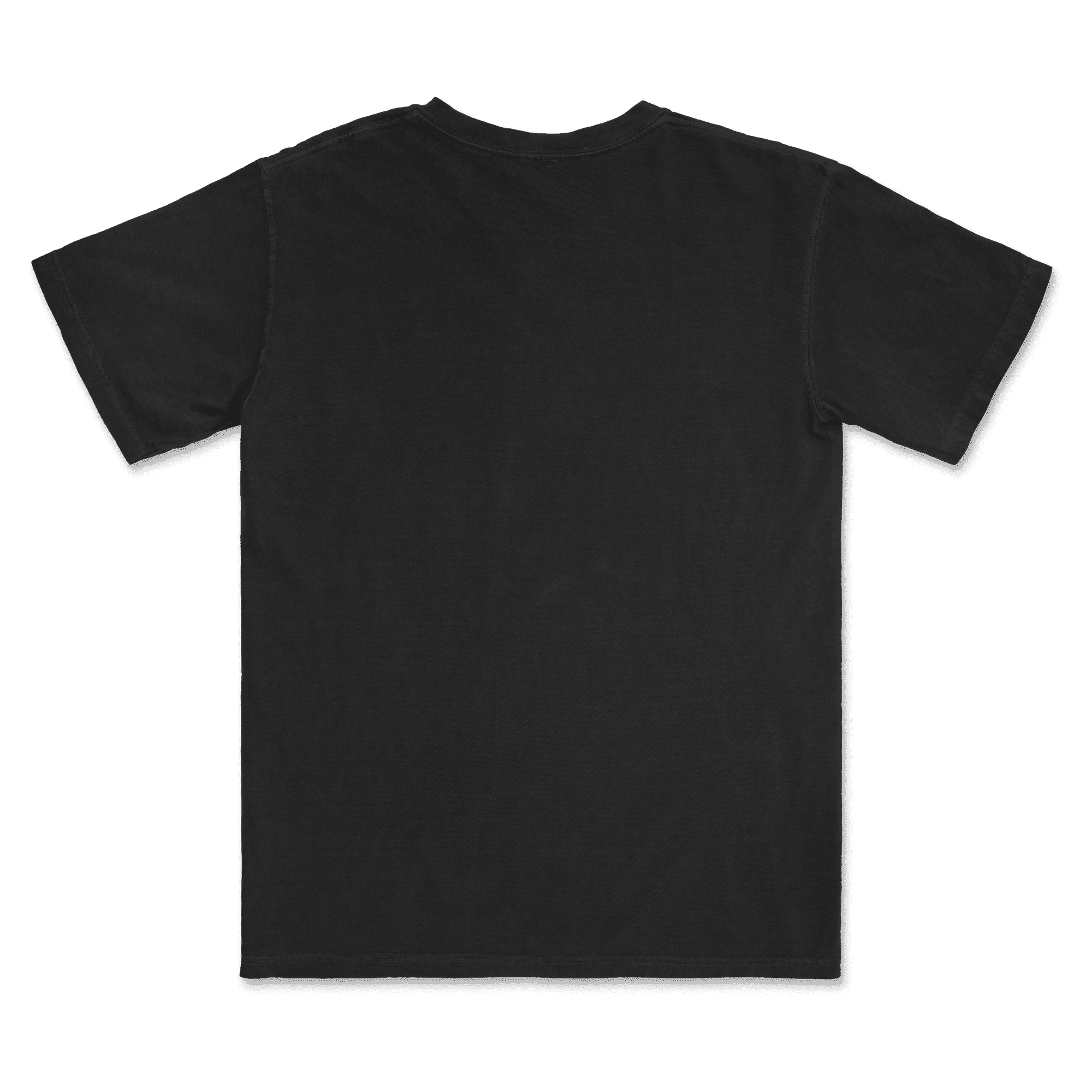 1717 Comfort Colors Adult Heavyweight T-Shirt