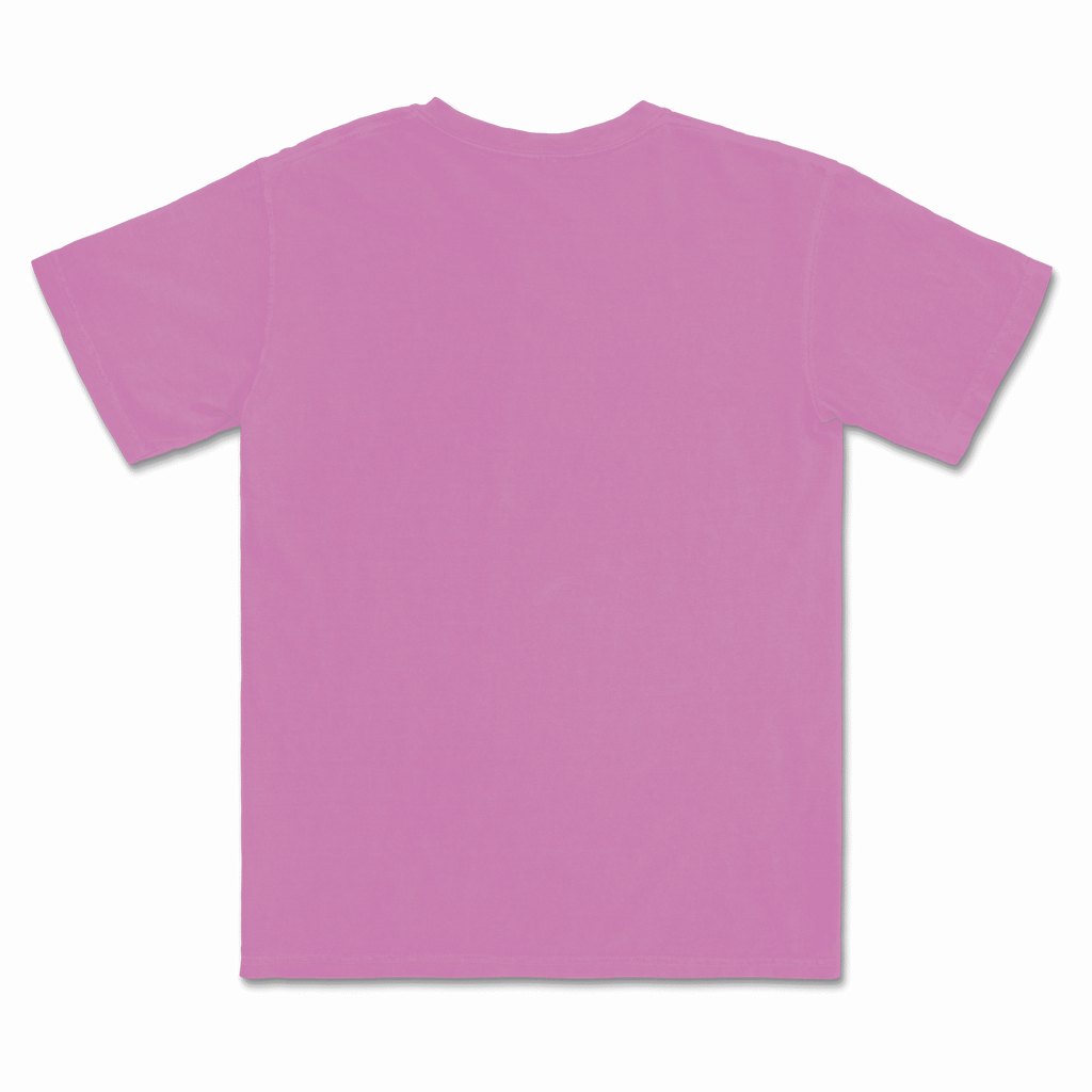 1717 Comfort Colors Adult Heavyweight T-Shirt