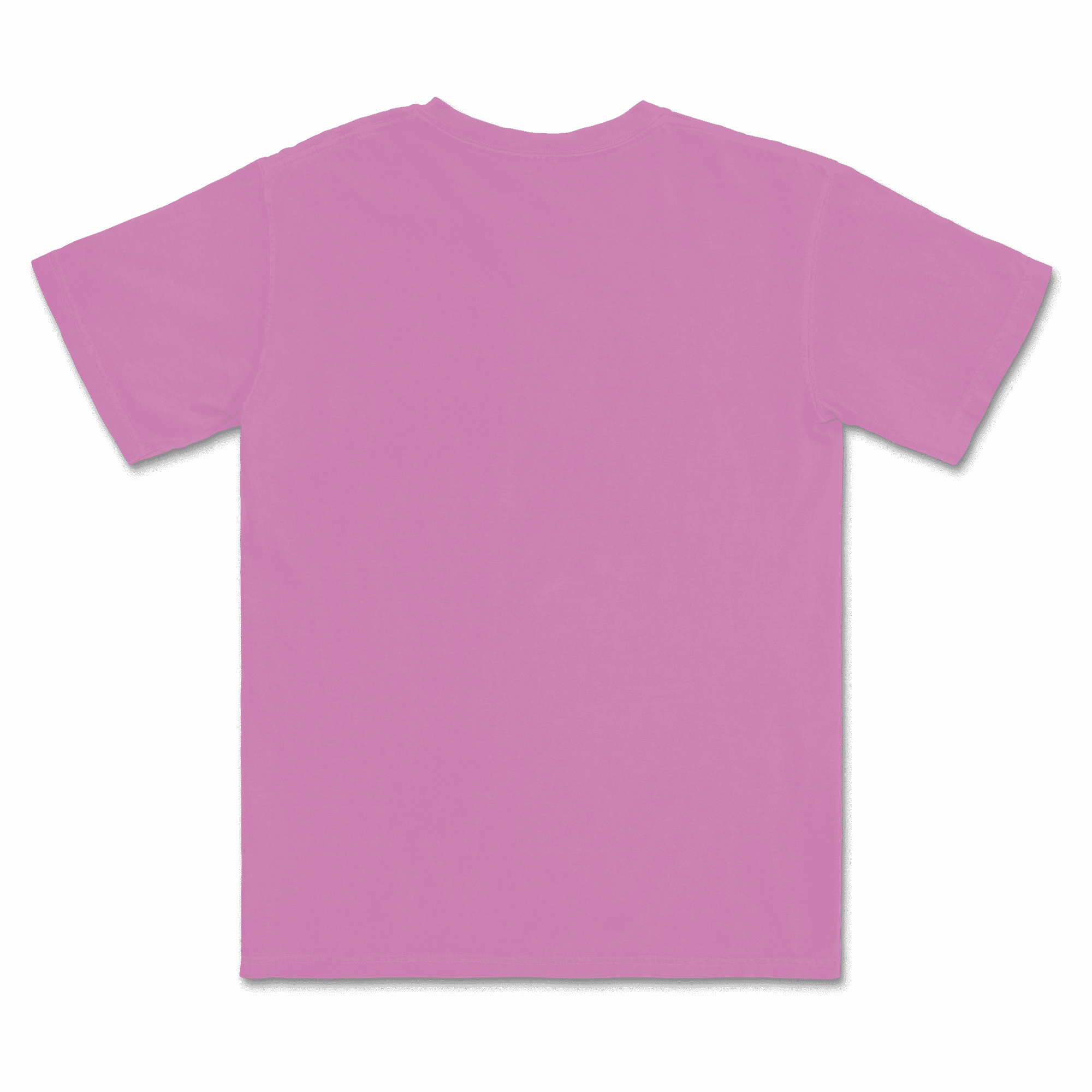 1717 Comfort Colors Adult Heavyweight T-Shirt