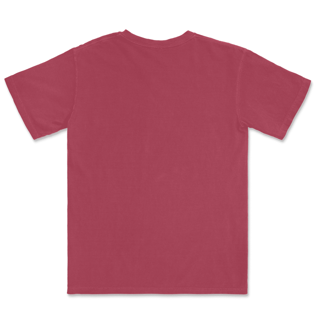 1717 Comfort Colors Adult Heavyweight T-Shirt