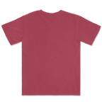 1717 Comfort Colors Adult Heavyweight T-Shirt