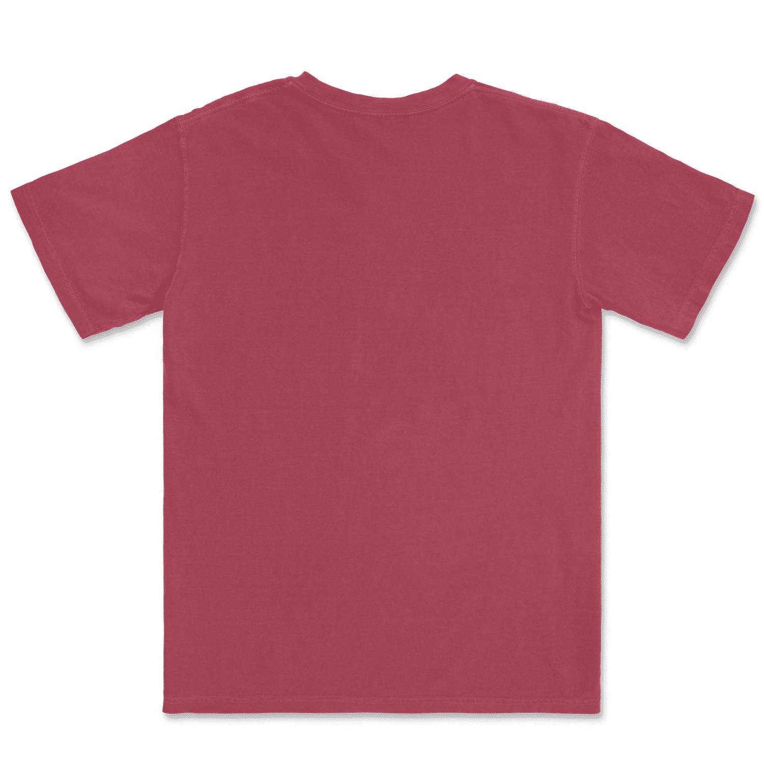 1717 Comfort Colors Adult Heavyweight T-Shirt