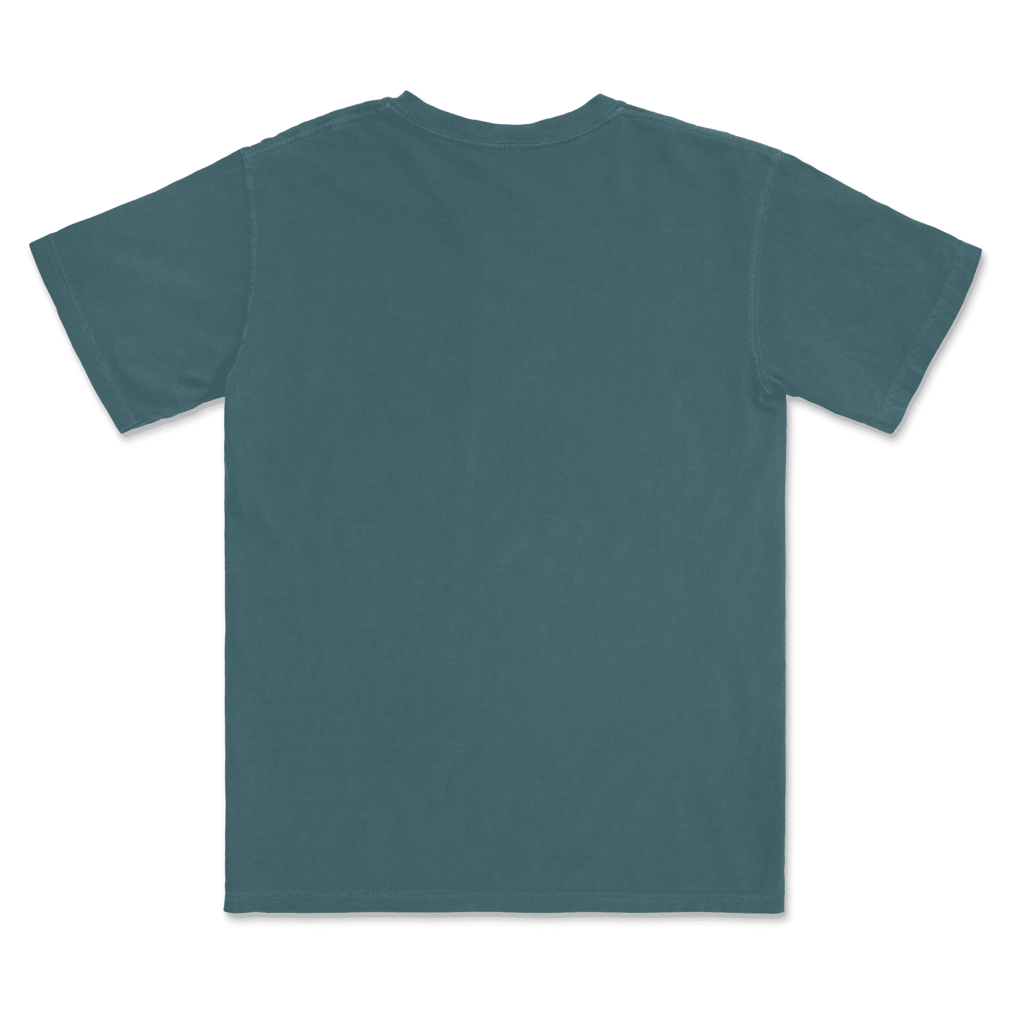 1717 Comfort Colors Adult Heavyweight T-Shirt