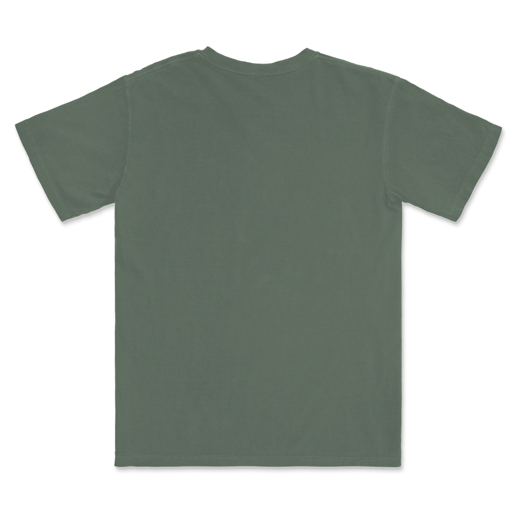 1717 Comfort Colors Adult Heavyweight T-Shirt