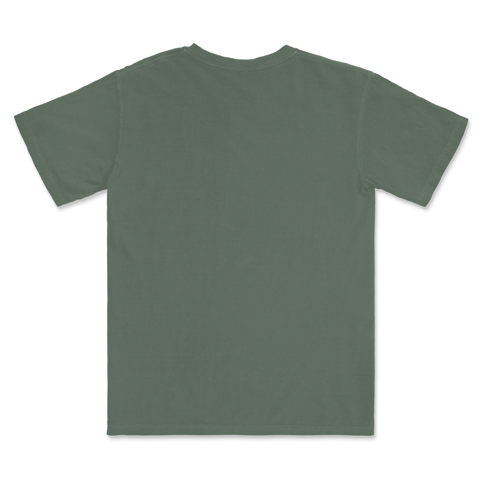 1717 Comfort Colors Adult Heavyweight T-Shirt