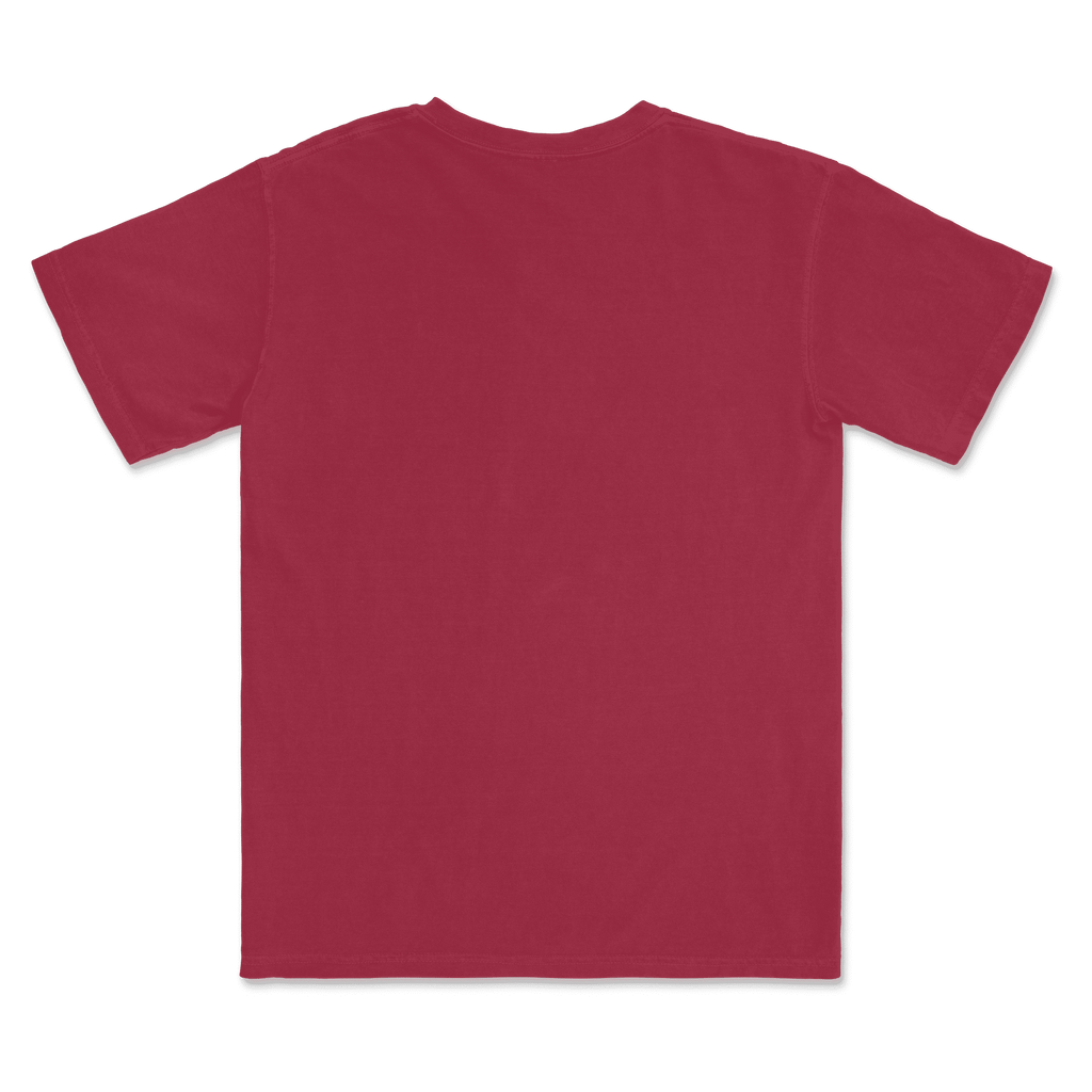 1717 Comfort Colors Adult Heavyweight T-Shirt