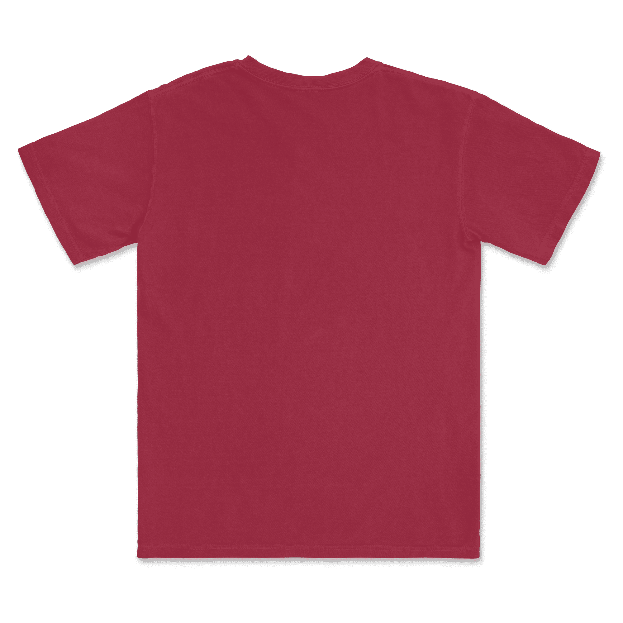 1717 Comfort Colors Adult Heavyweight T-Shirt