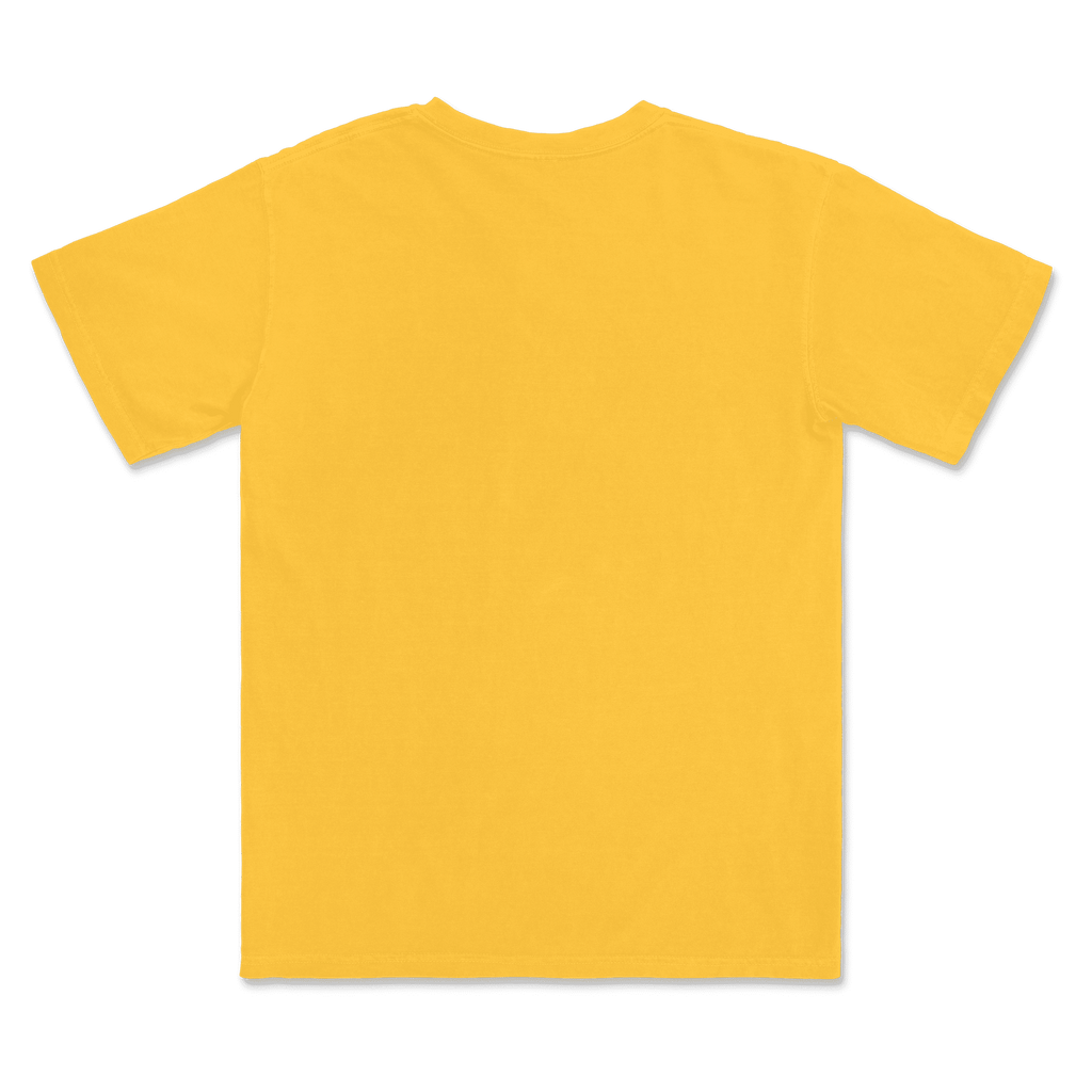 1717 Comfort Colors Adult Heavyweight T-Shirt