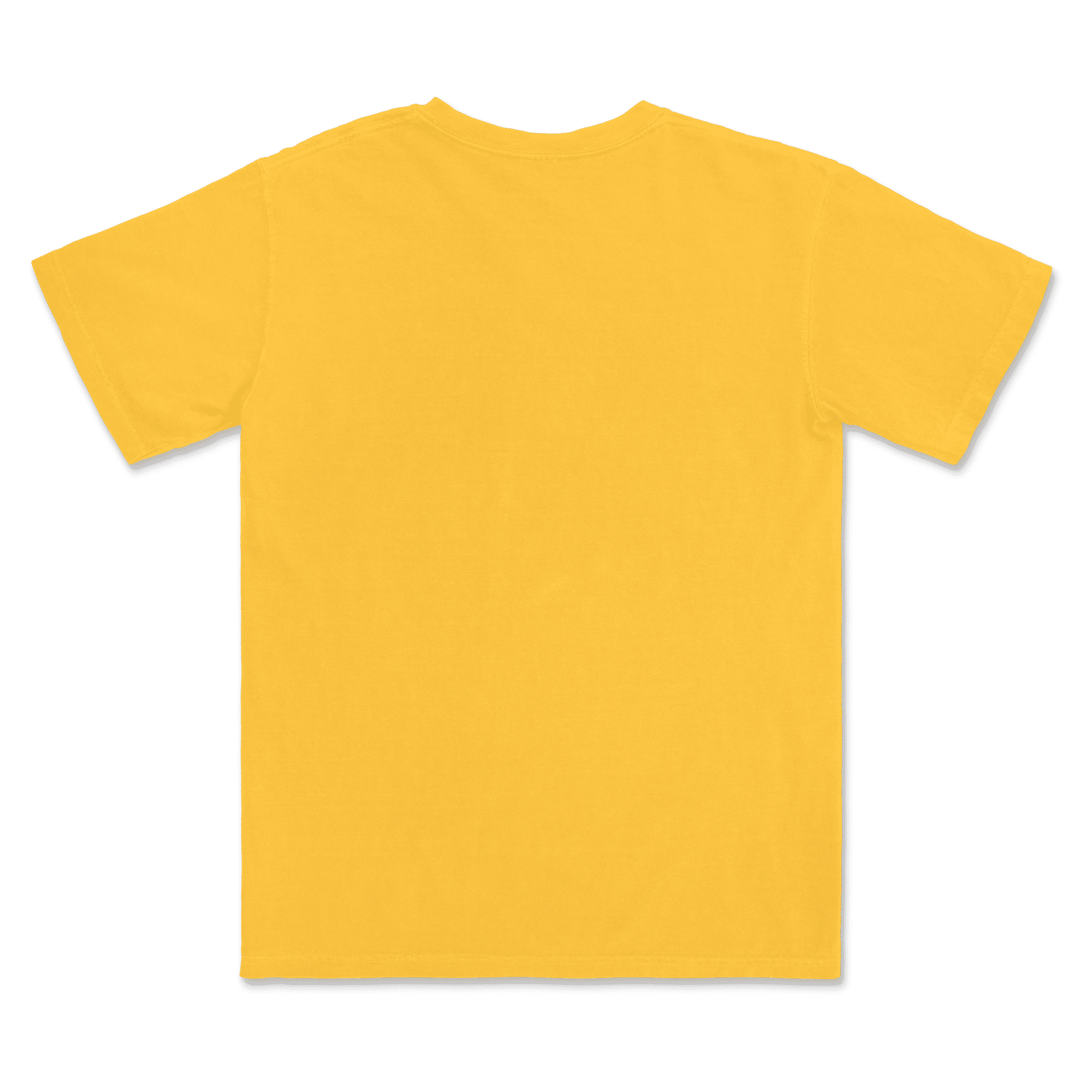 1717 Comfort Colors Adult Heavyweight T-Shirt