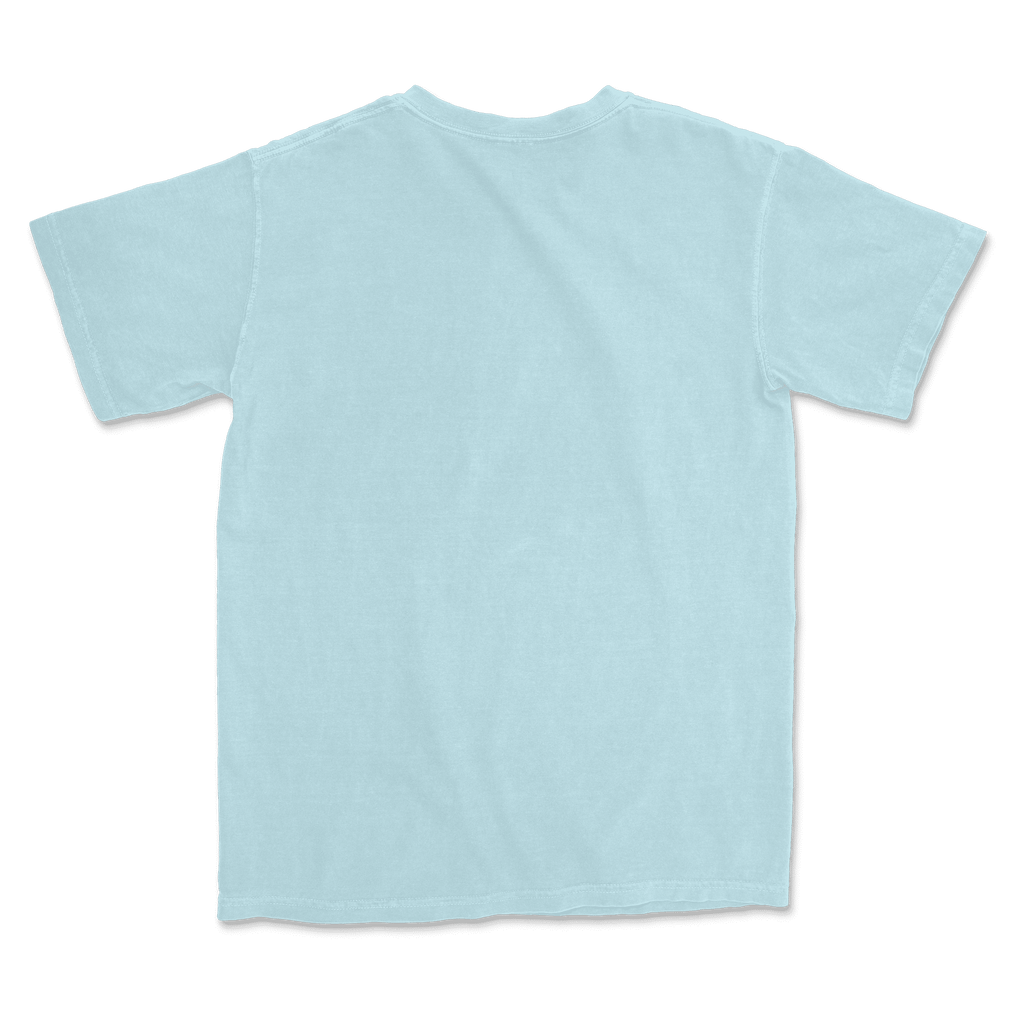1717 Comfort Colors Adult Heavyweight T-Shirt