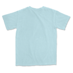 1717 Comfort Colors Adult Heavyweight T-Shirt