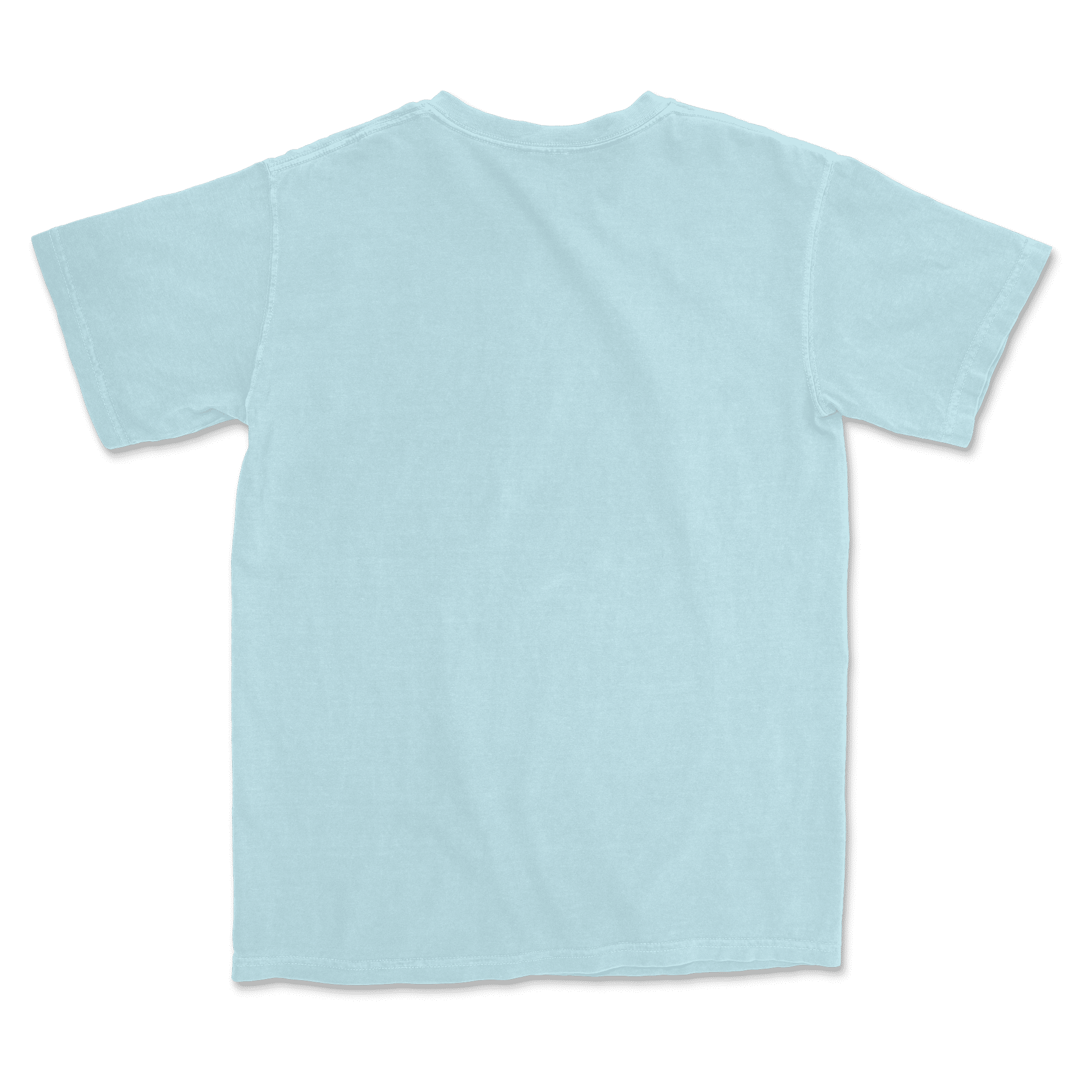 1717 Comfort Colors Adult Heavyweight T-Shirt