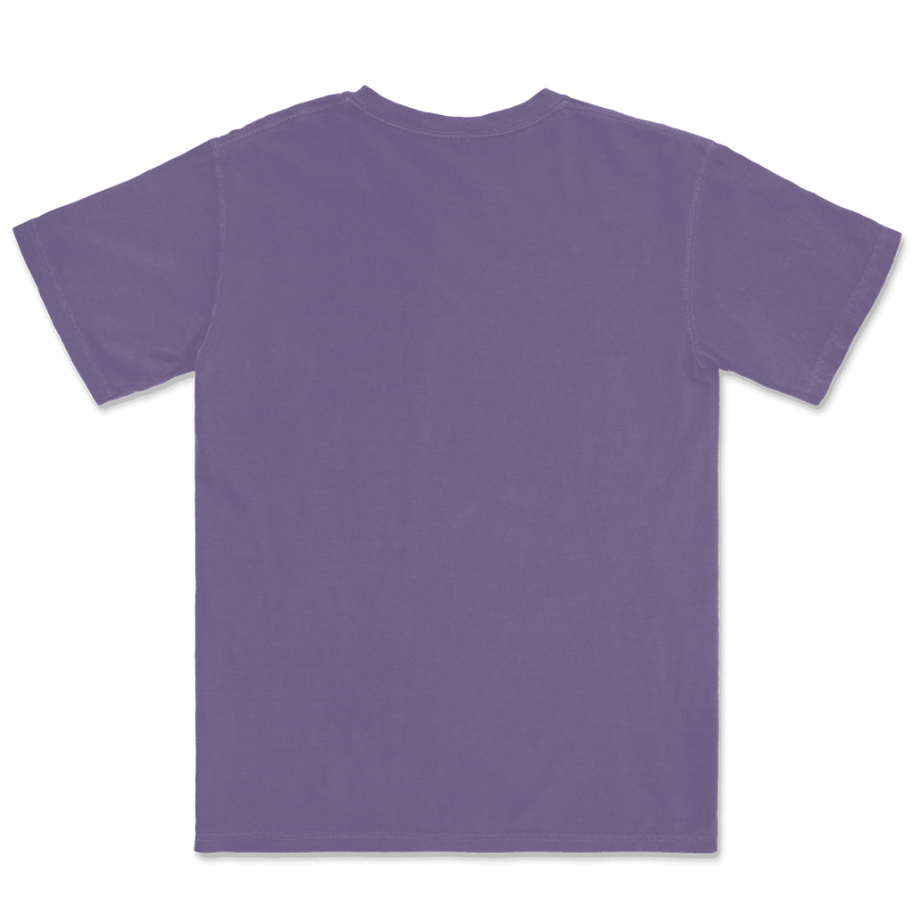 1717 Comfort Colors Adult Heavyweight T-Shirt