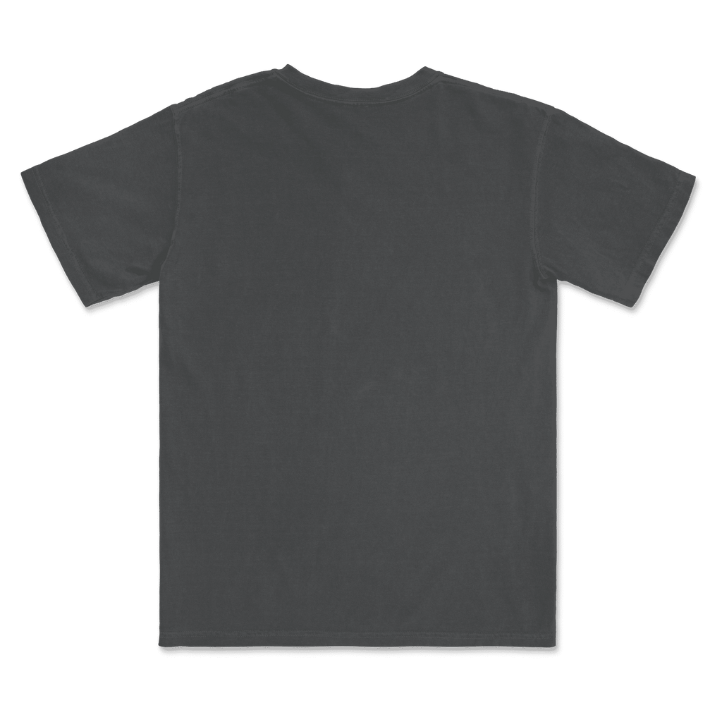 1717 Comfort Colors Adult Heavyweight T-Shirt
