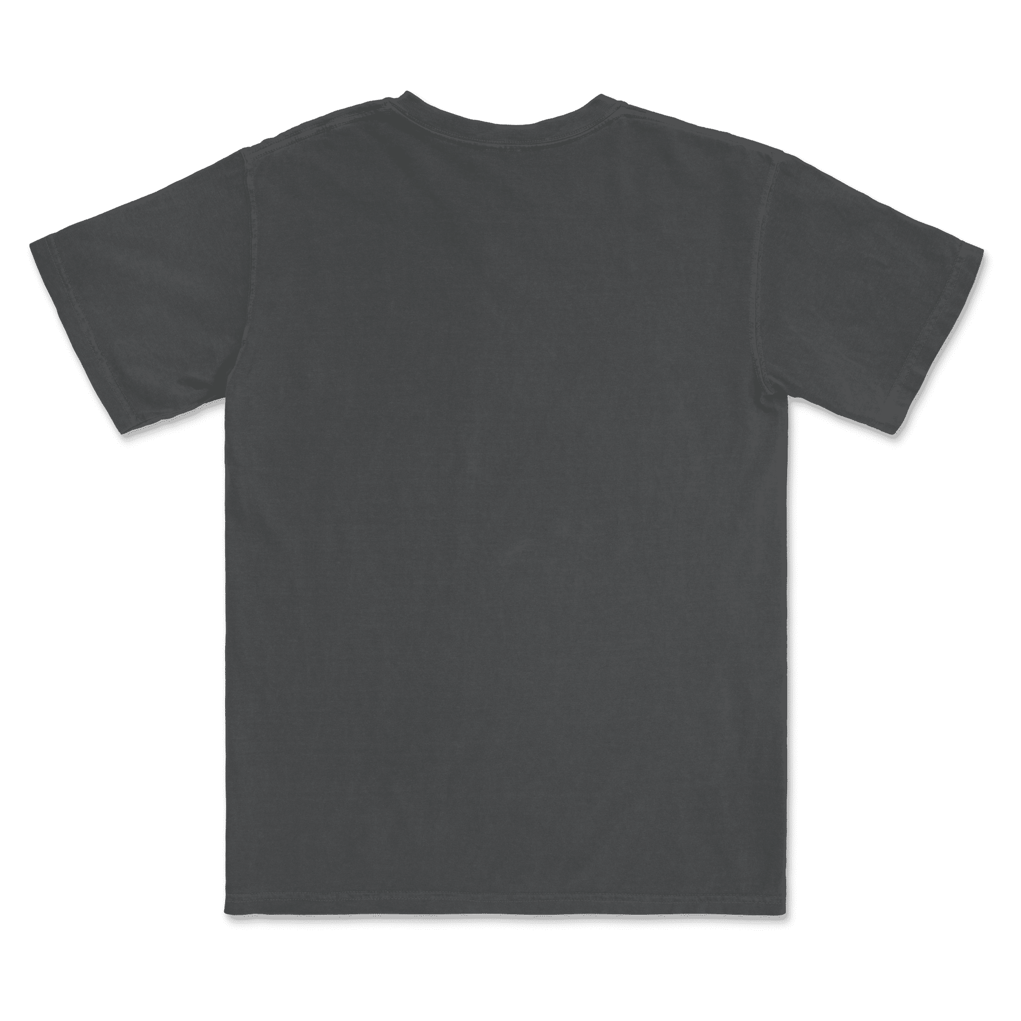 1717 Comfort Colors Adult Heavyweight T-Shirt