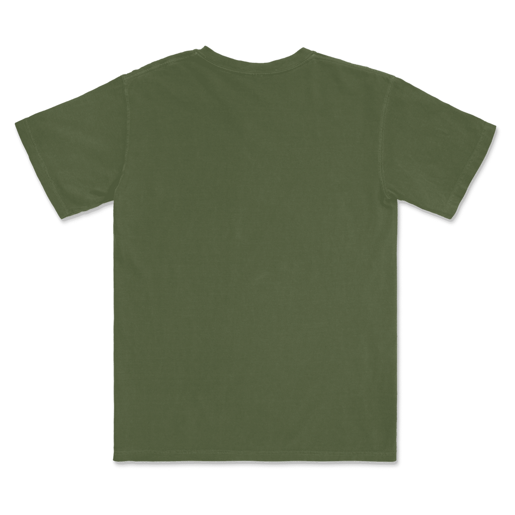 1717 Comfort Colors Adult Heavyweight T-Shirt