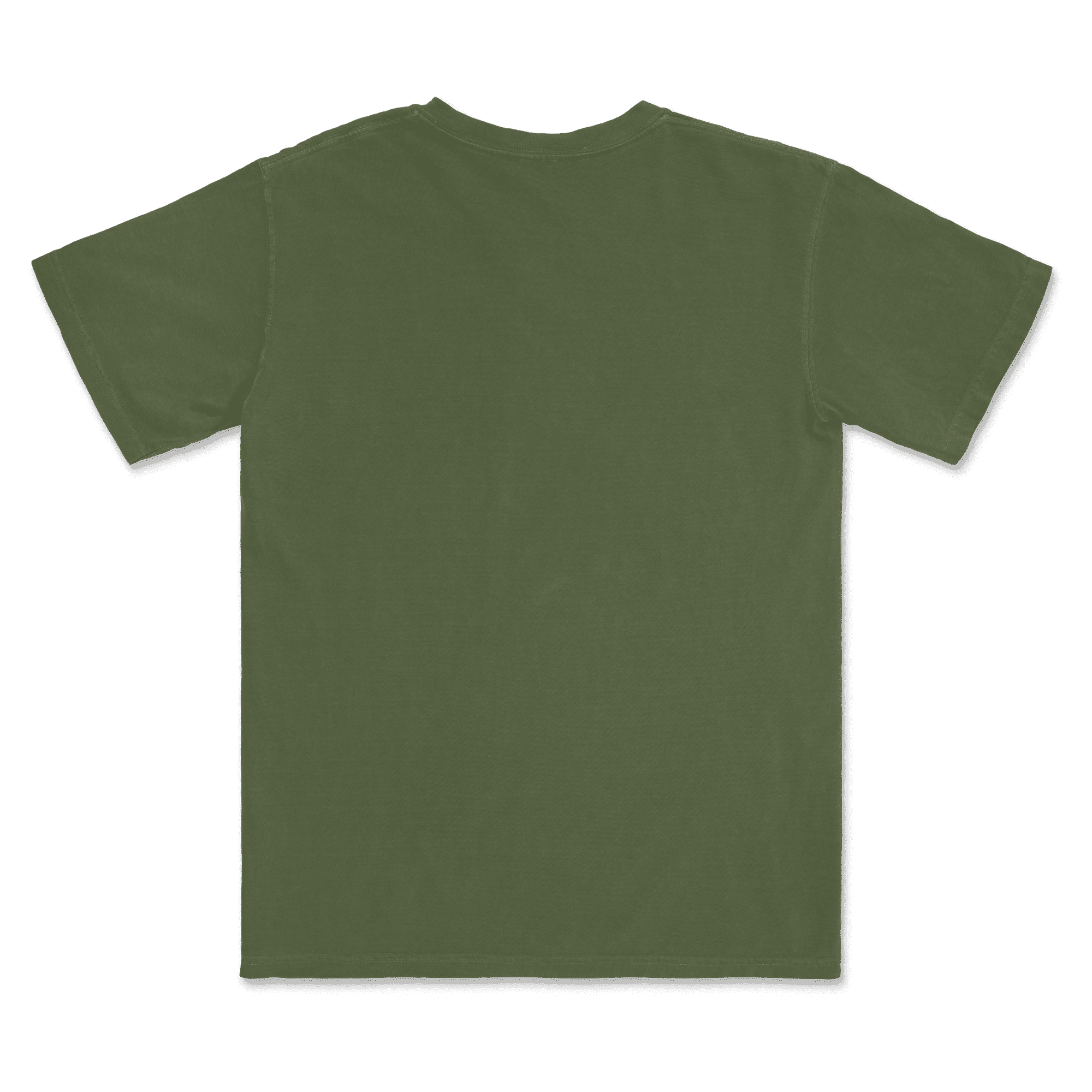 1717 Comfort Colors Adult Heavyweight T-Shirt
