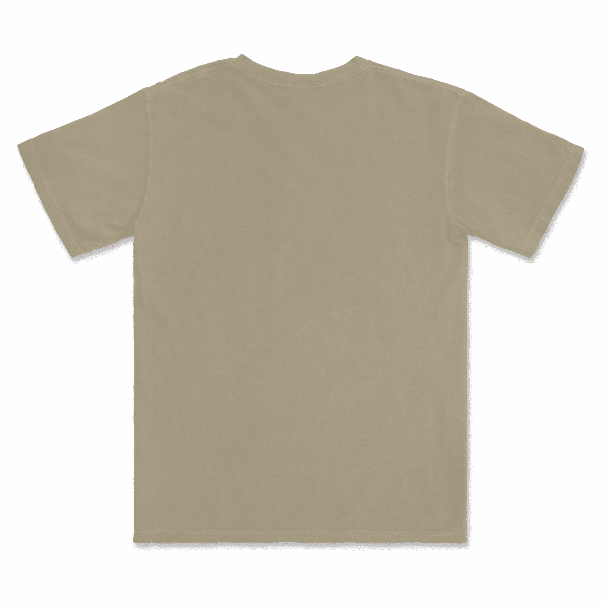 1717 Comfort Colors Adult Heavyweight T-Shirt