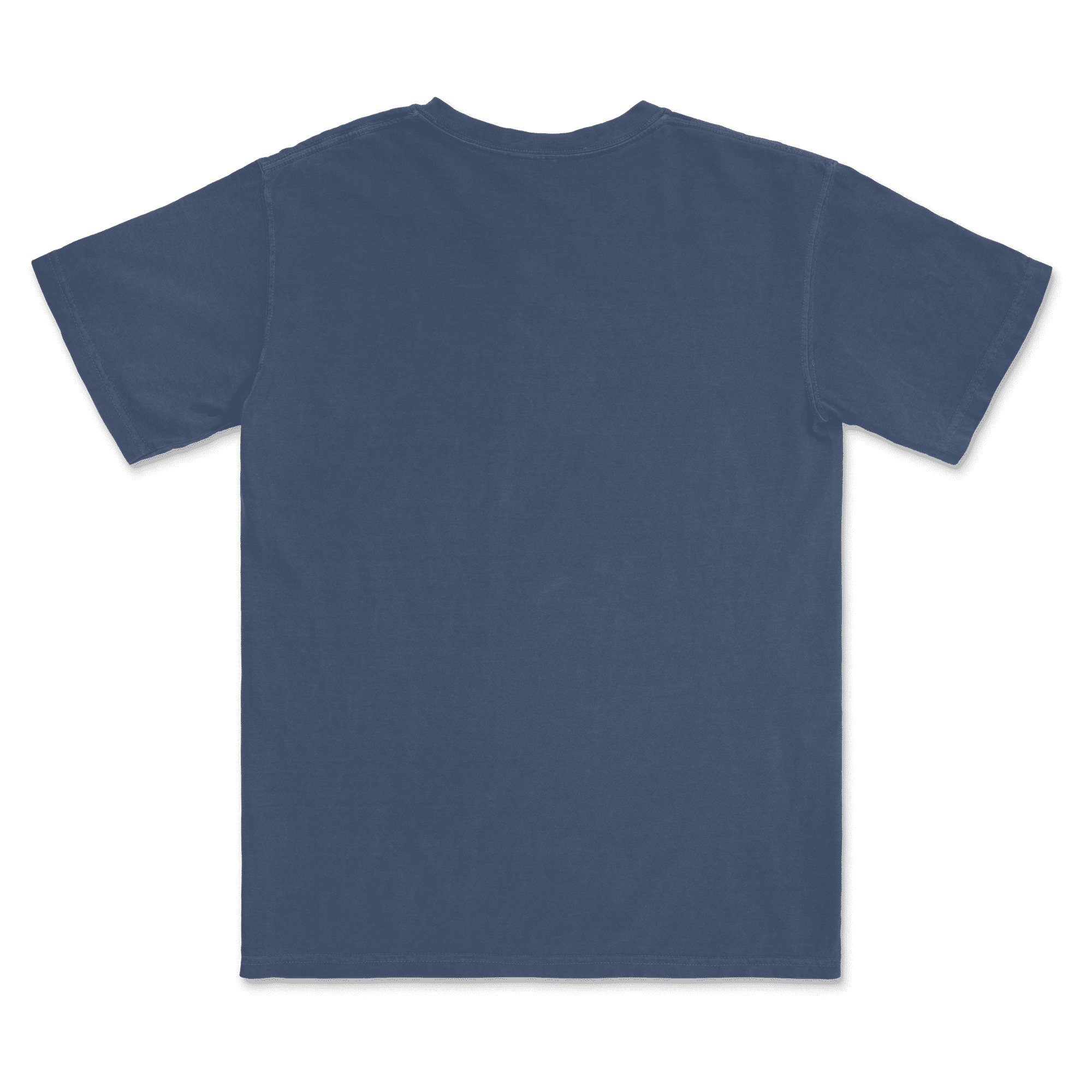 1717 Comfort Colors Adult Heavyweight T-Shirt