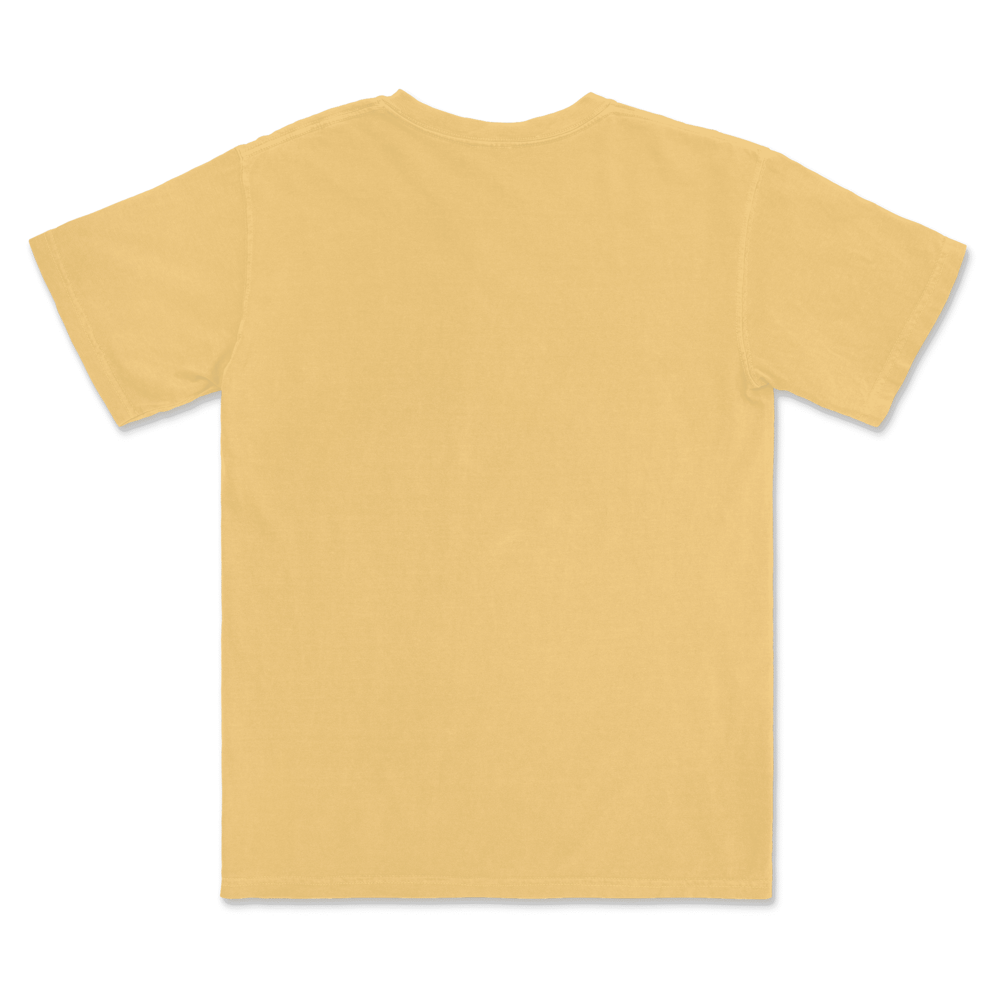 1717 Comfort Colors Adult Heavyweight T-Shirt